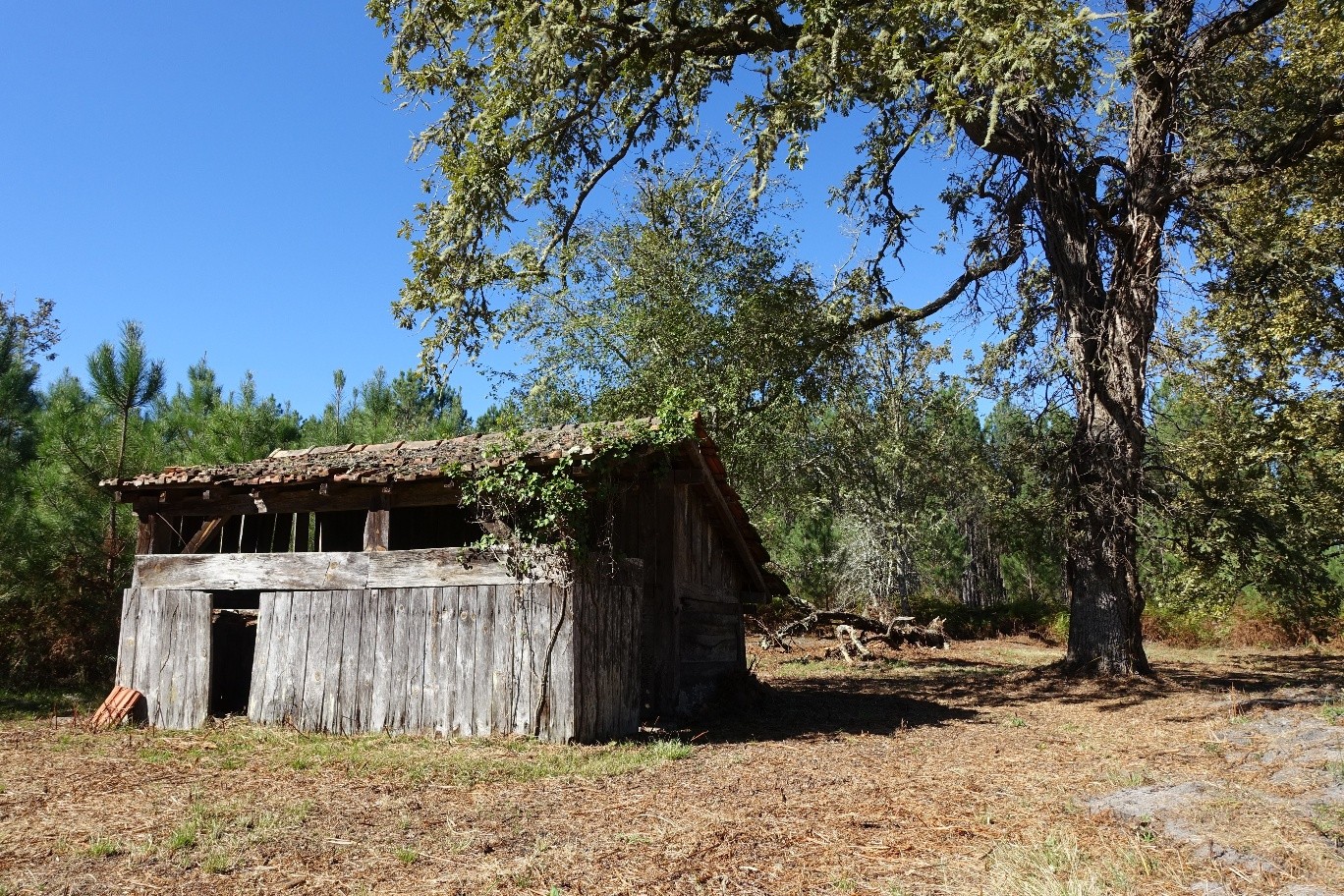 Location Maison à Préchac 5 pièces