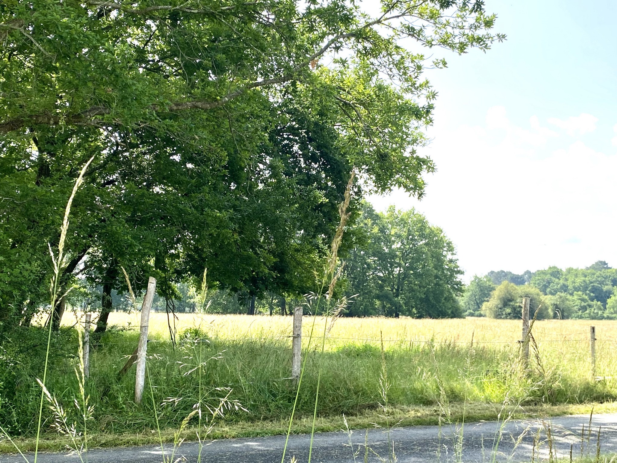 Vente Maison à Bazas 3 pièces