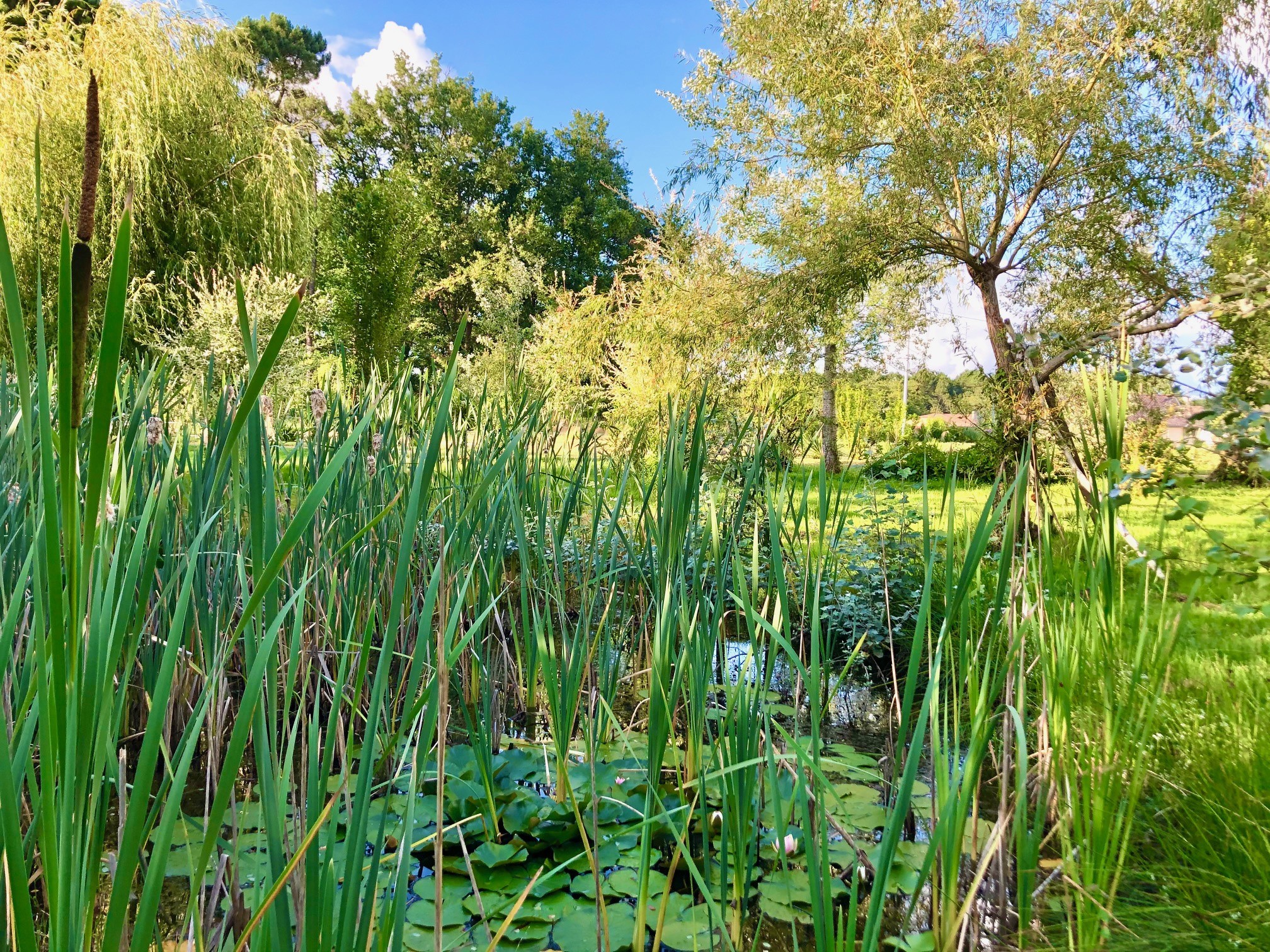 Vente Maison à Bazas 9 pièces