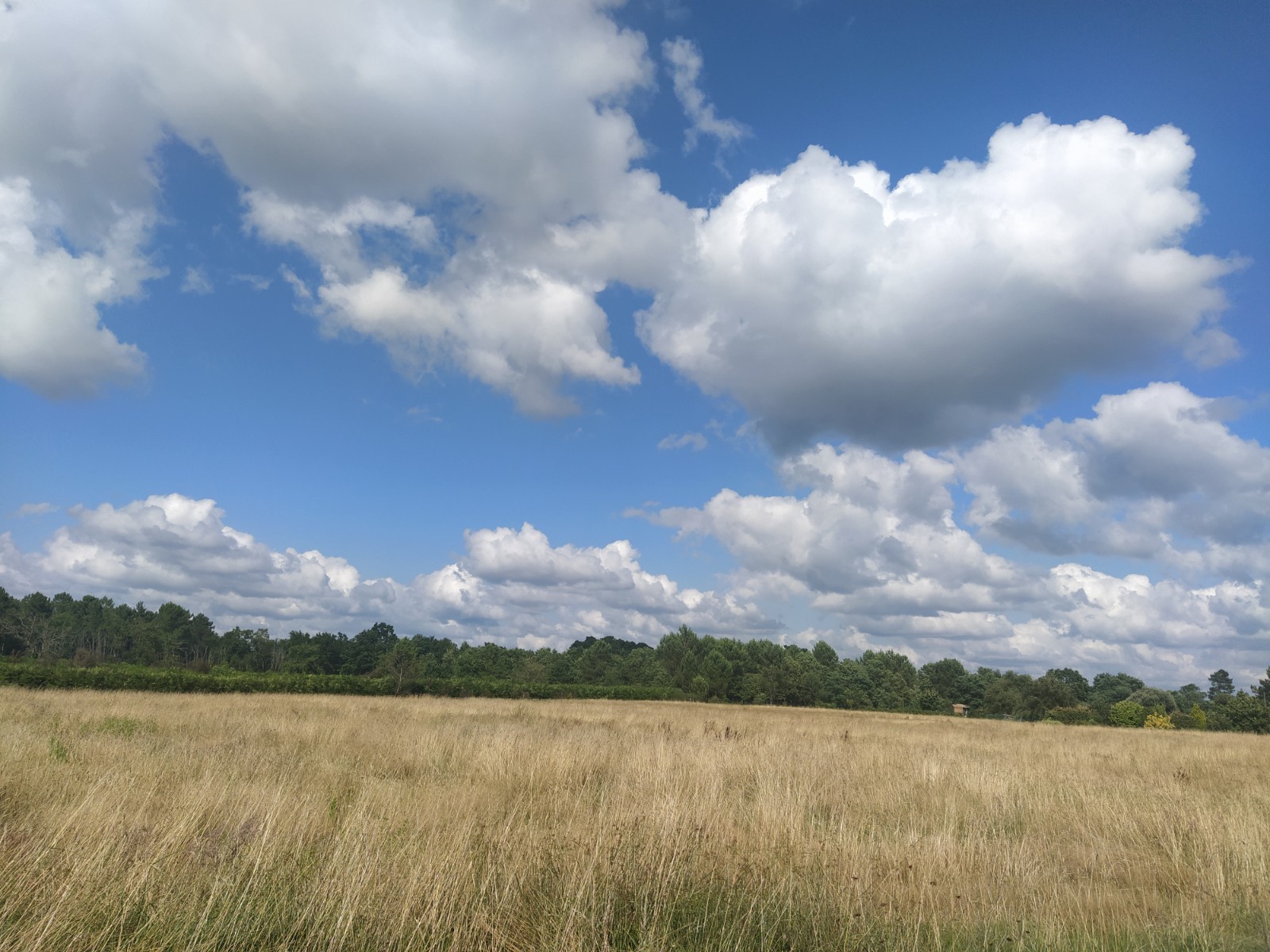 Vente Terrain à Bazas 0 pièce