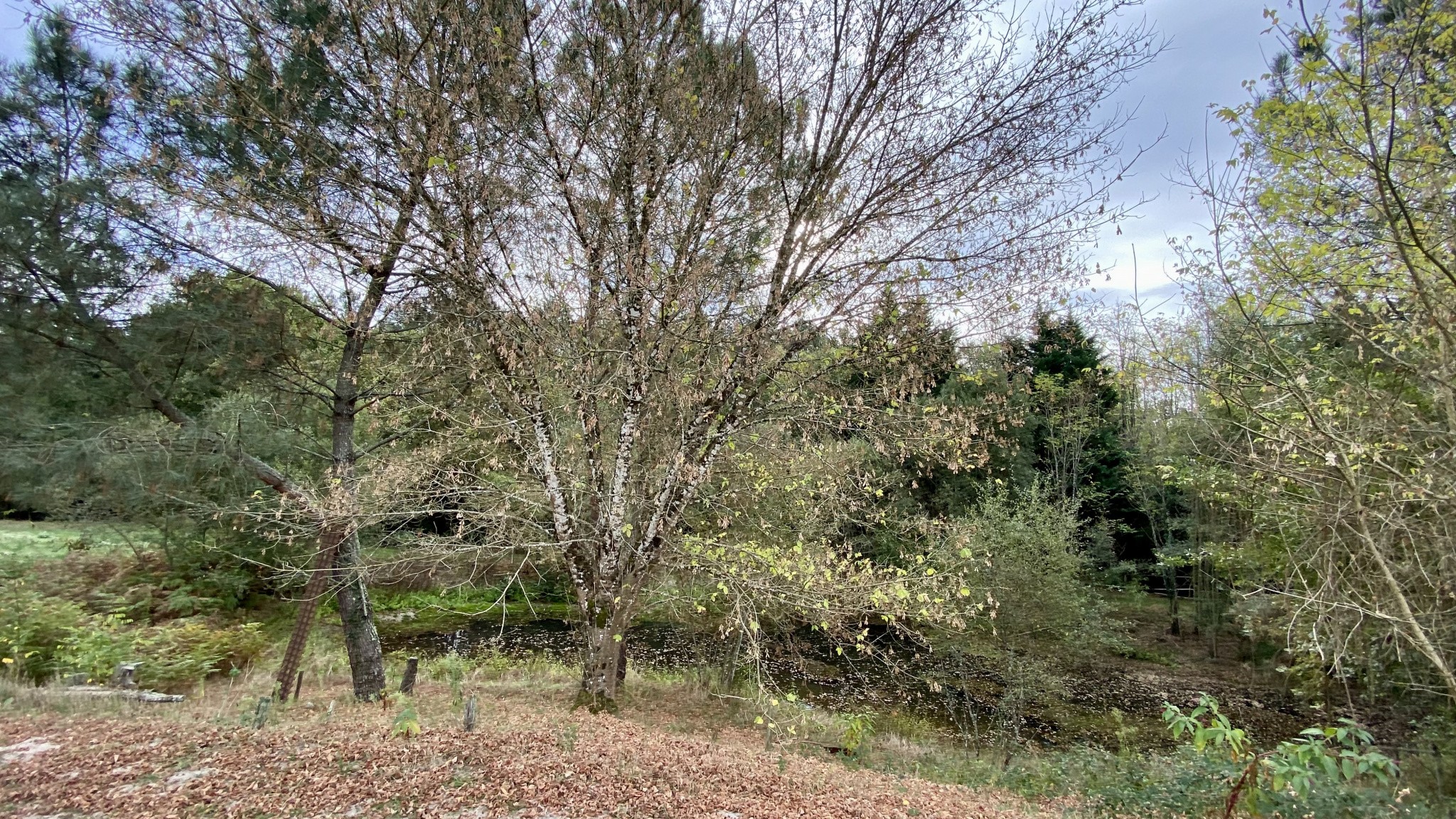 Vente Maison à Bazas 4 pièces