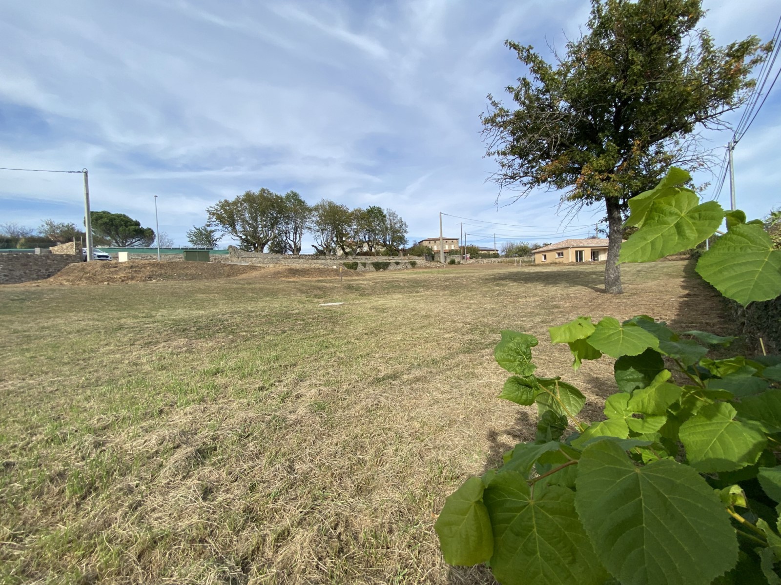 Vente Terrain à Roiffieux 0 pièce