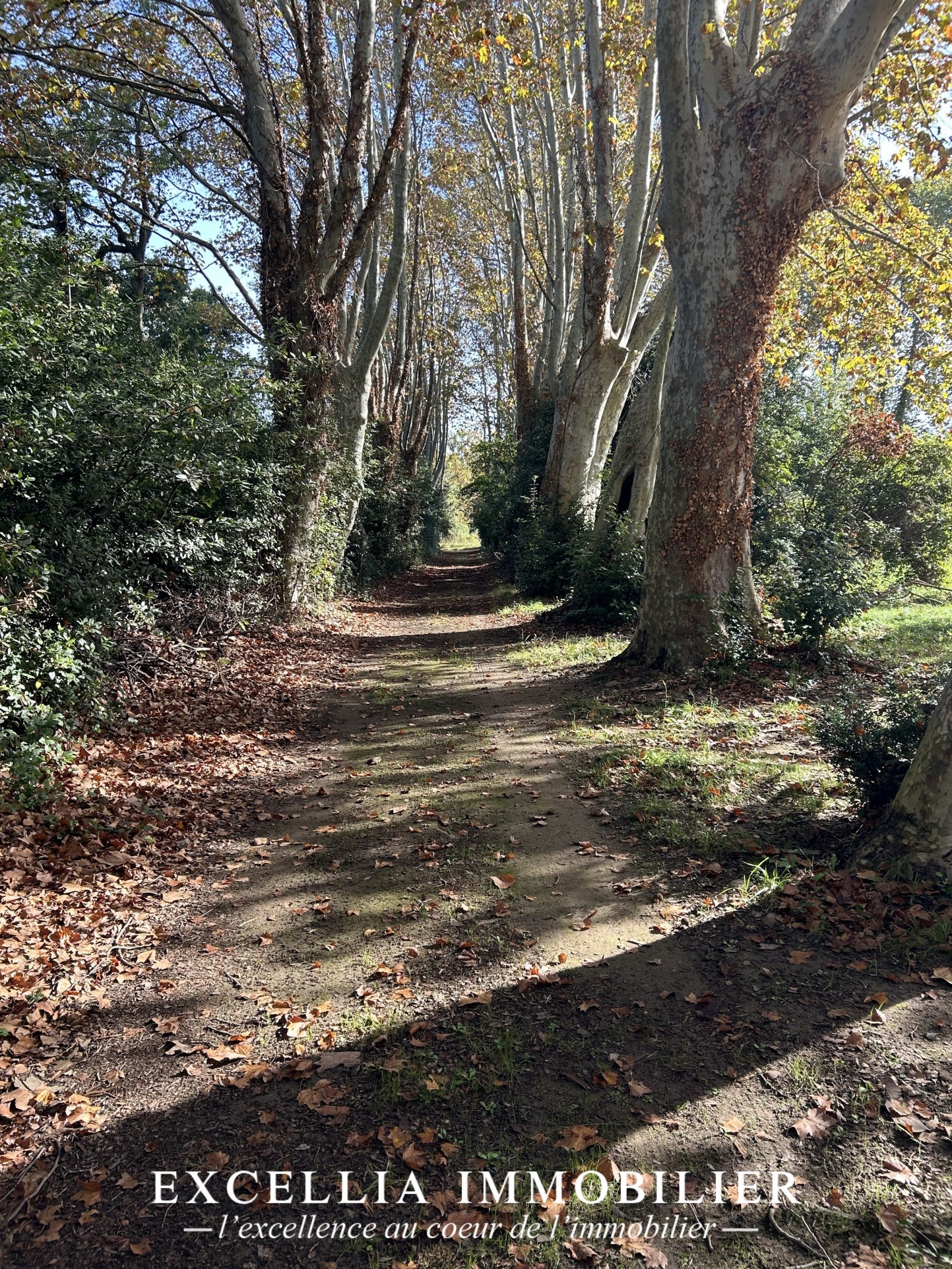 Vente Maison à Istres 16 pièces