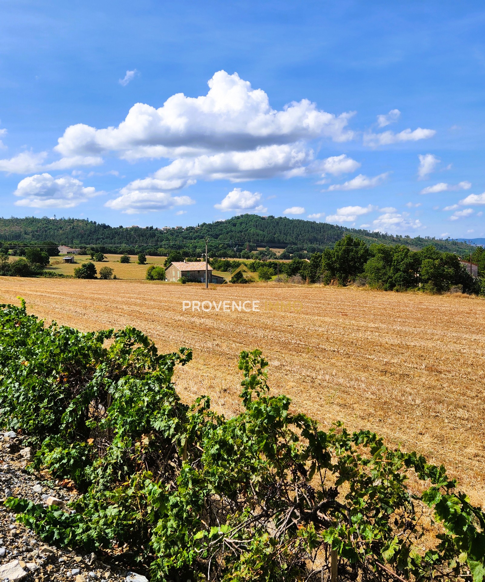 Vente Terrain à Digne-les-Bains 0 pièce