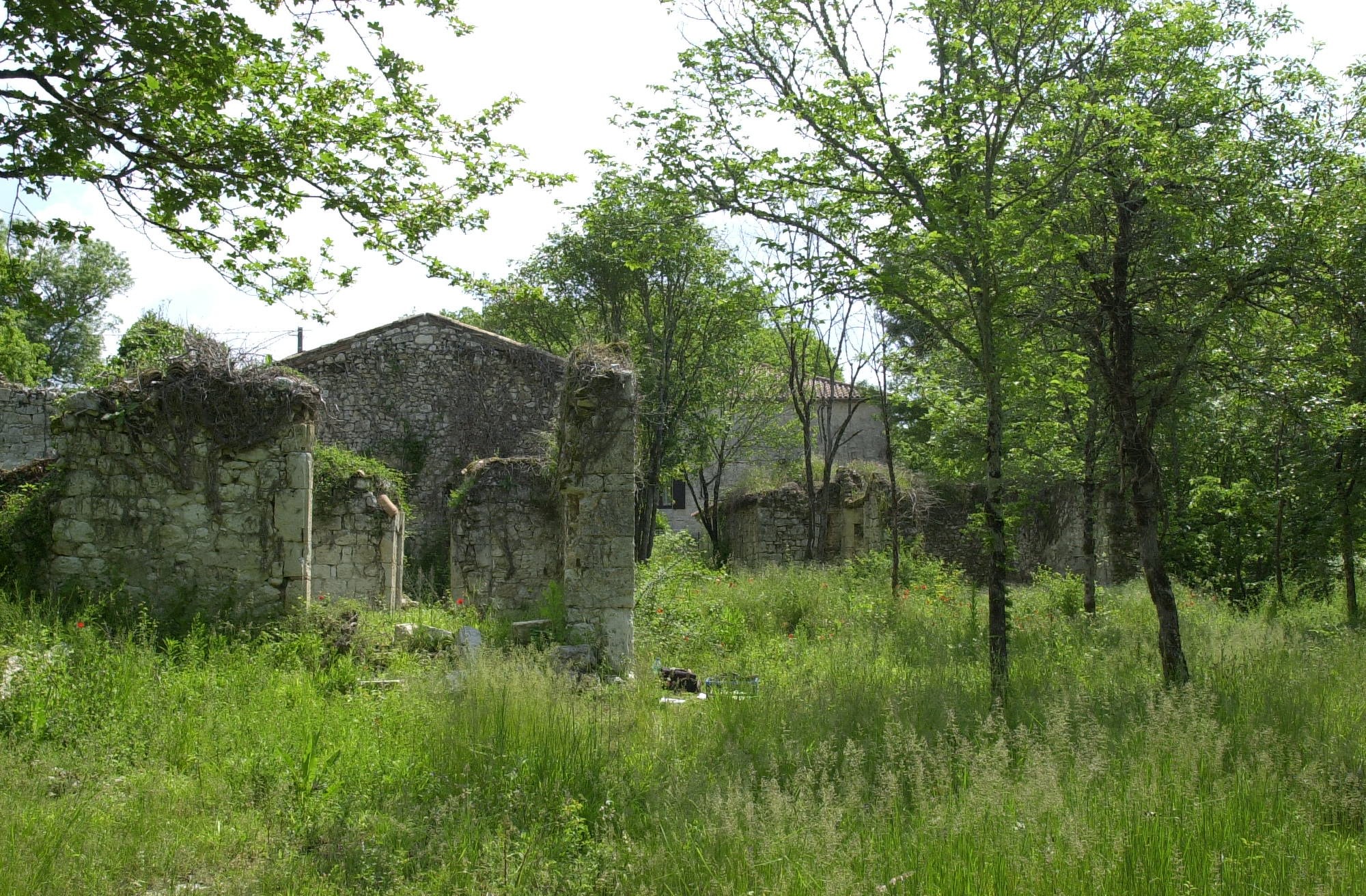 Vente Terrain à Laroque-Timbaut 0 pièce