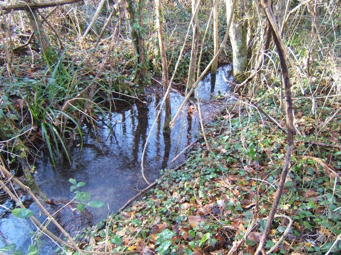 Vente Terrain à Laroque-Timbaut 0 pièce