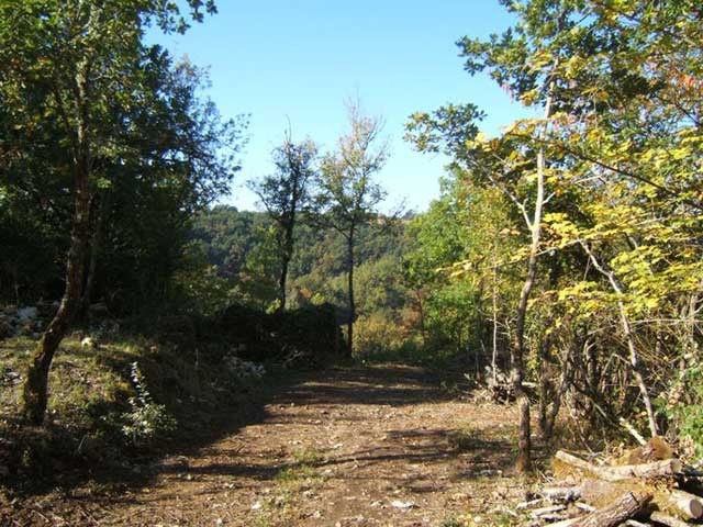 Vente Terrain à Laroque-Timbaut 0 pièce