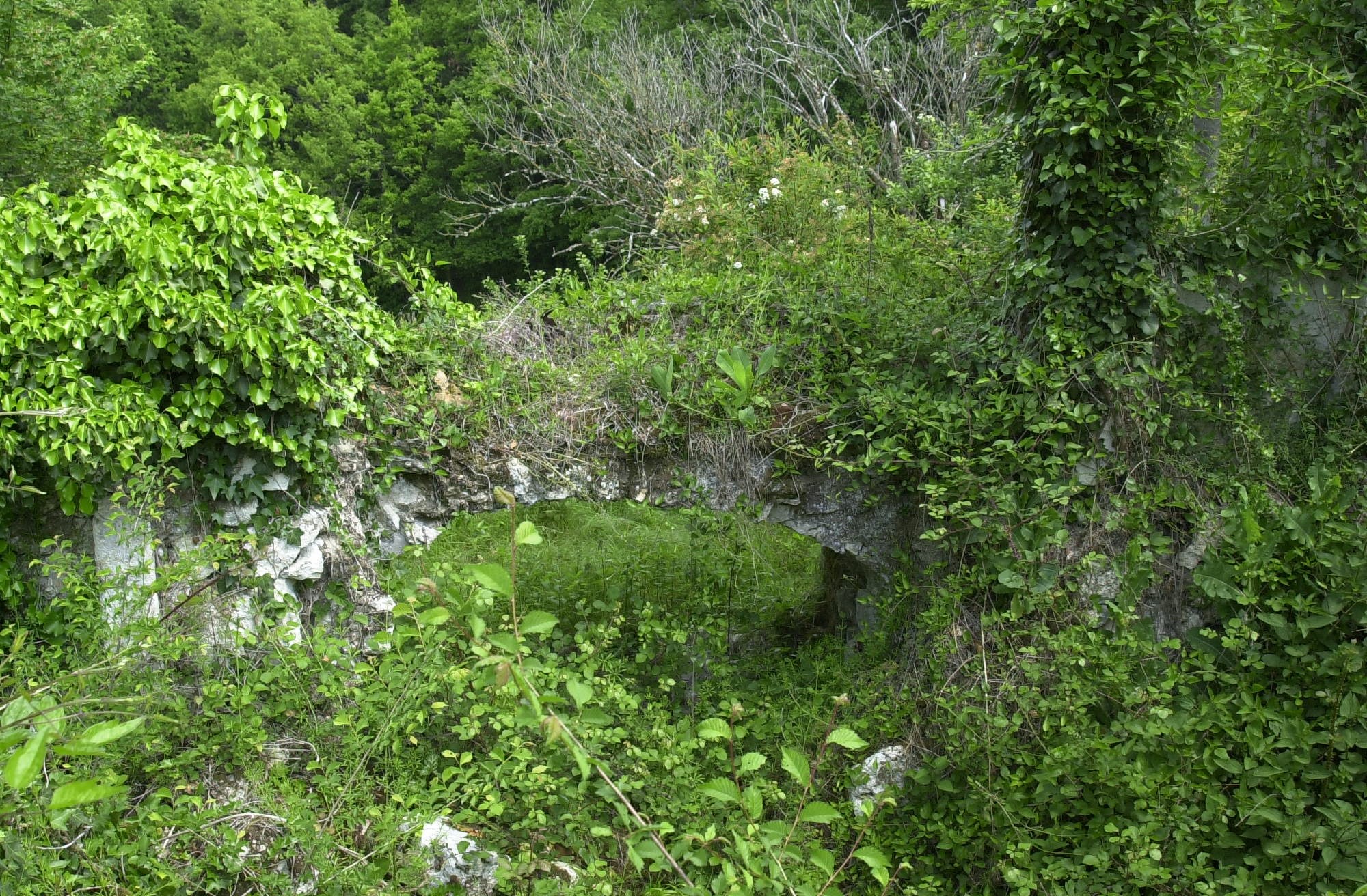 Vente Terrain à Laroque-Timbaut 0 pièce