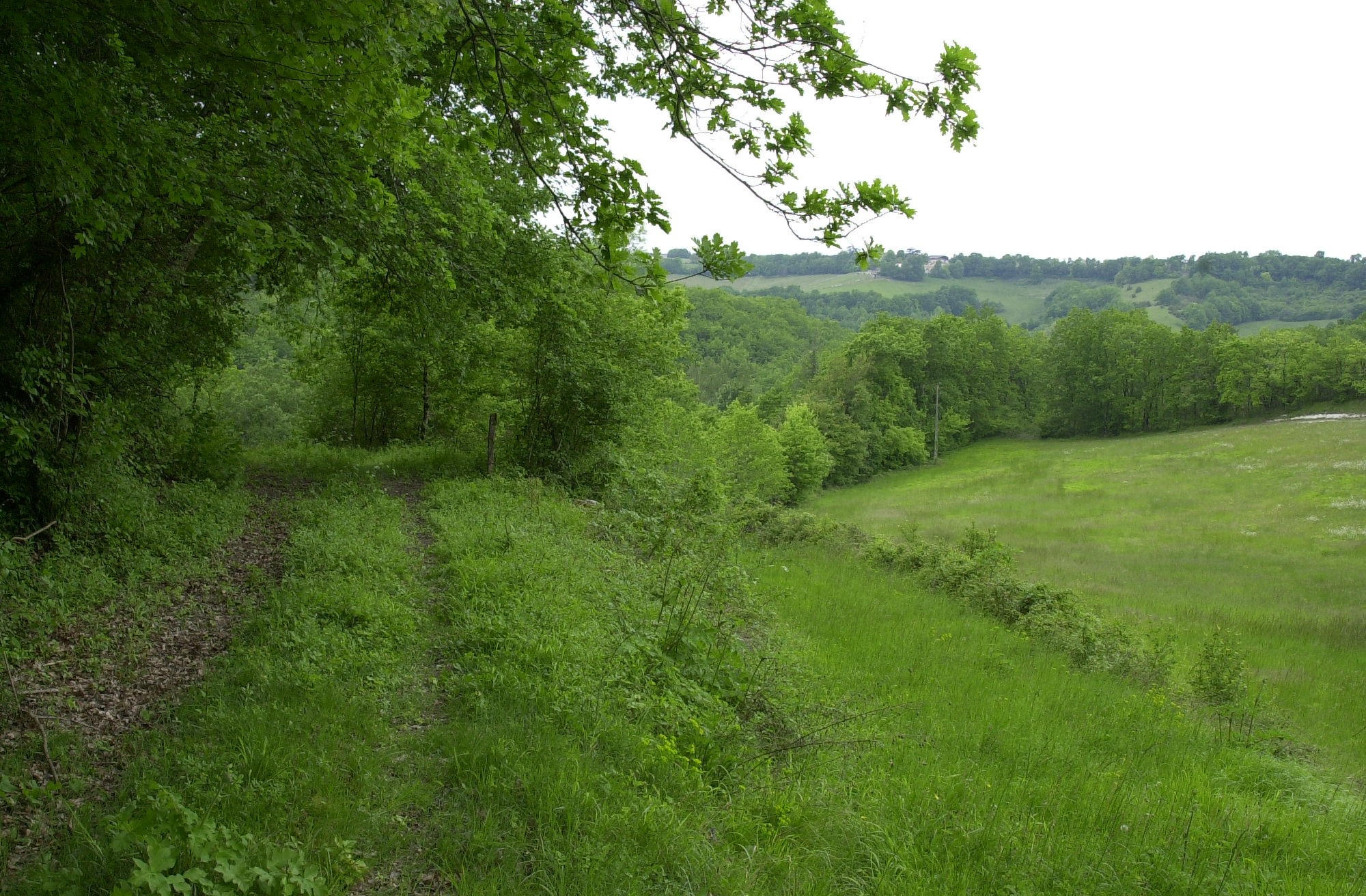 Vente Terrain à Laroque-Timbaut 0 pièce