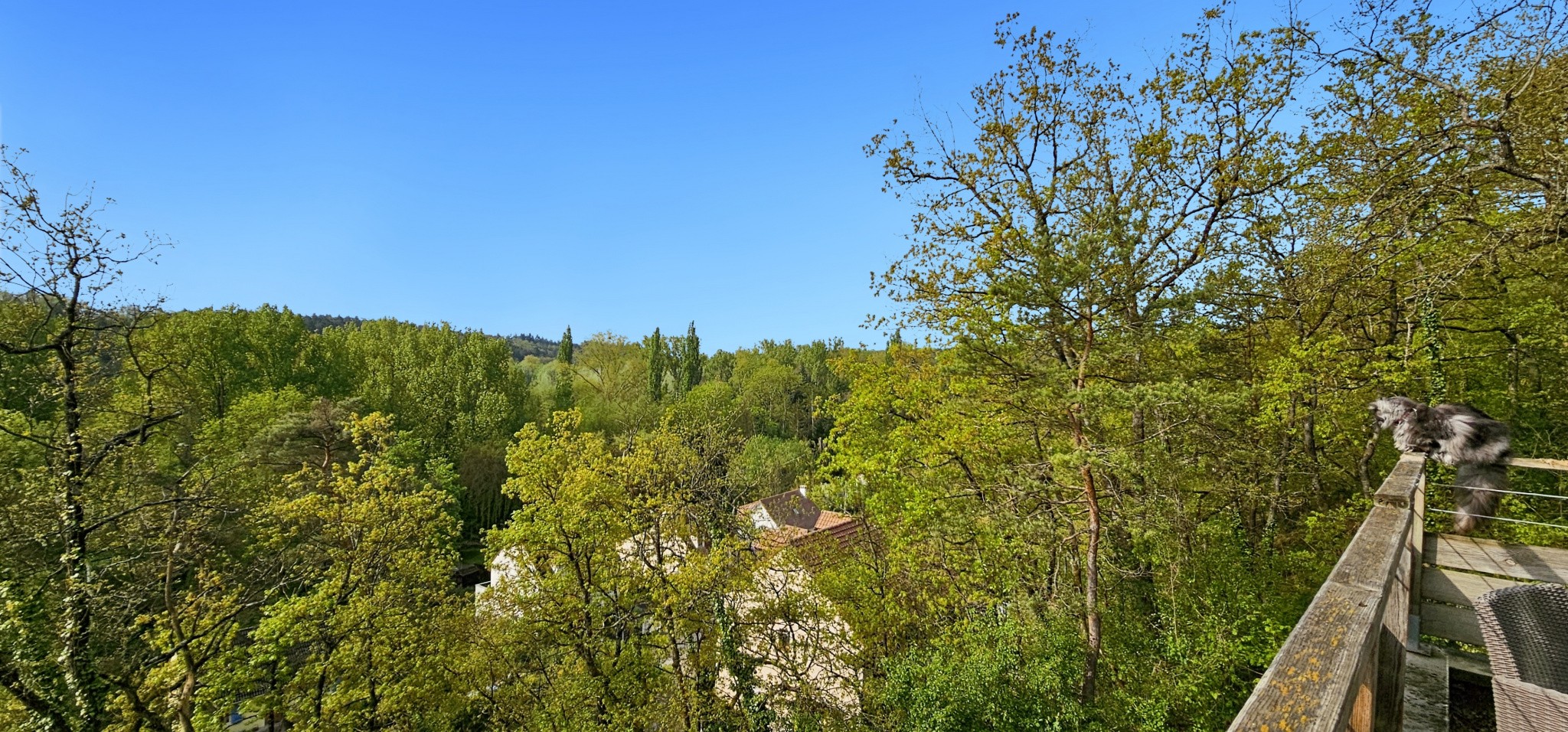 Vente Maison à Saclas 7 pièces