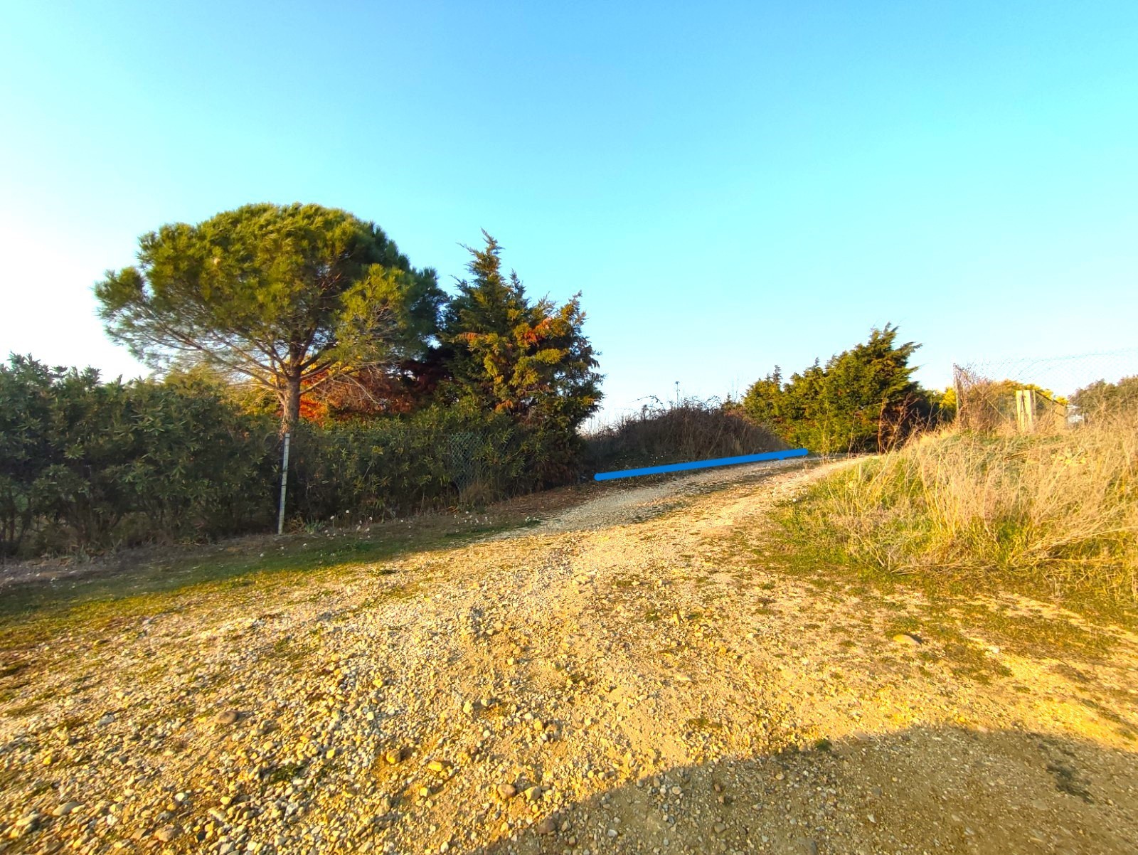 Vente Terrain à Sérignan 0 pièce