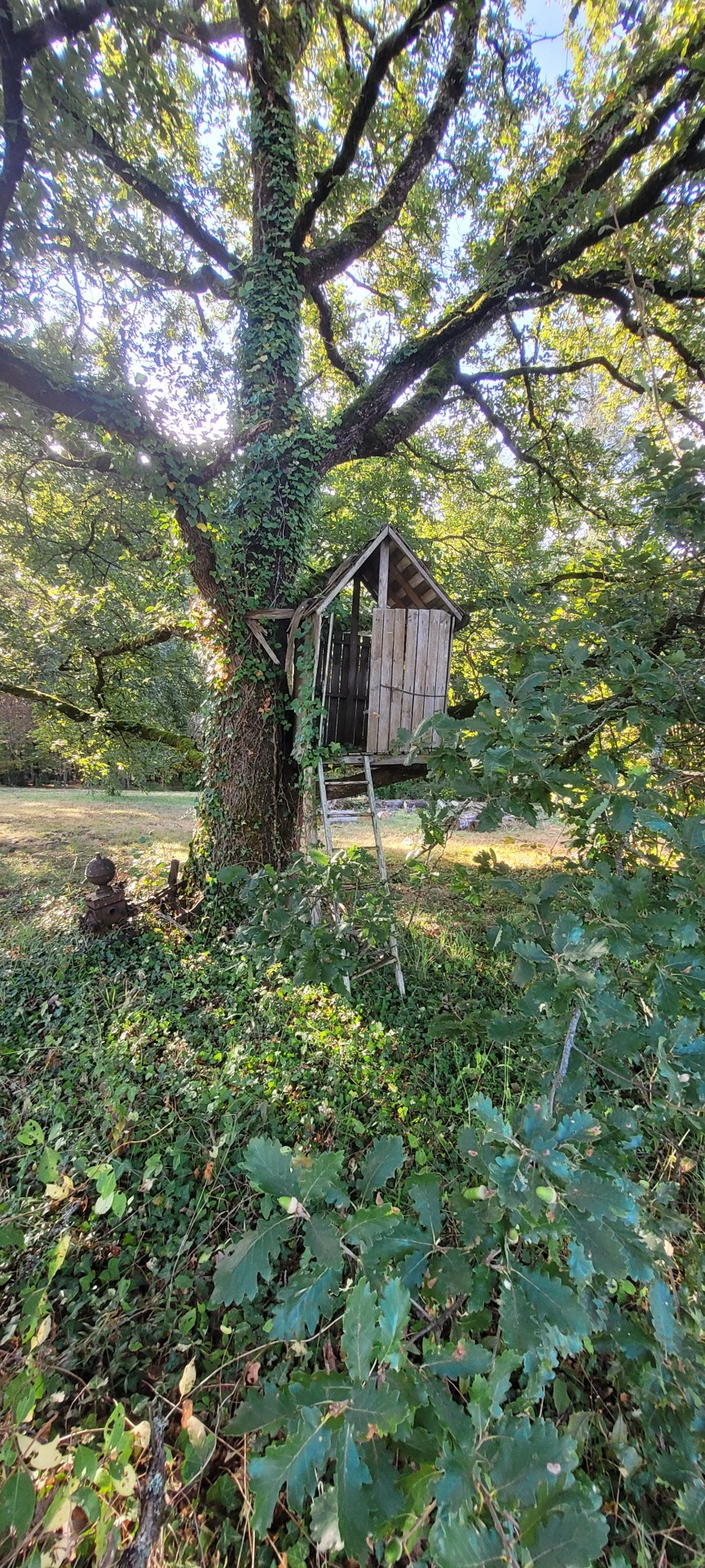 Vente Maison à Mensignac 8 pièces