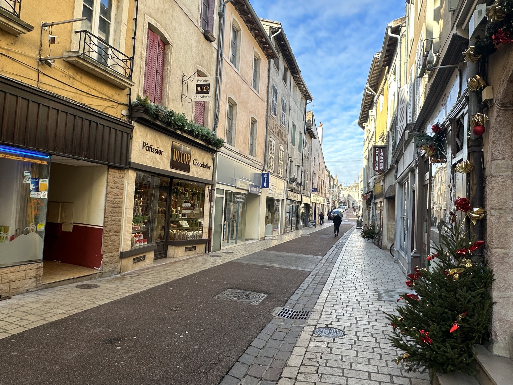 Vente Bureau / Commerce à Tournus 0 pièce