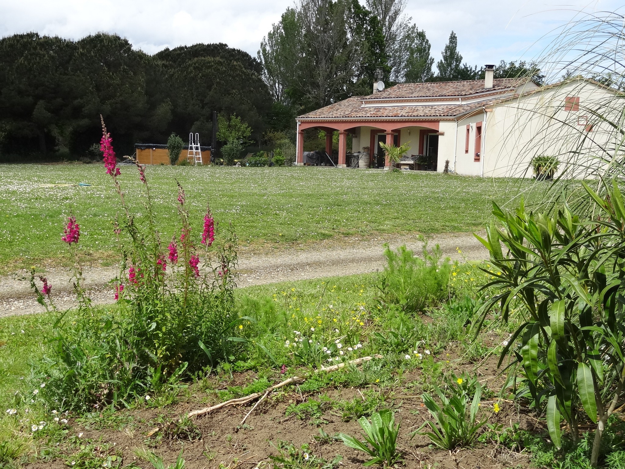 Vente Maison à Tonneins 7 pièces