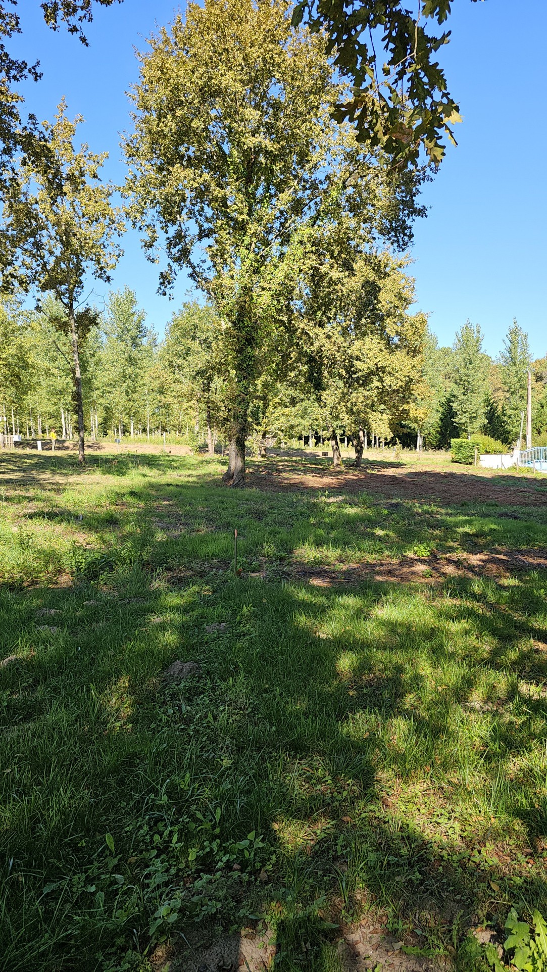 Vente Terrain à Casteljaloux 0 pièce