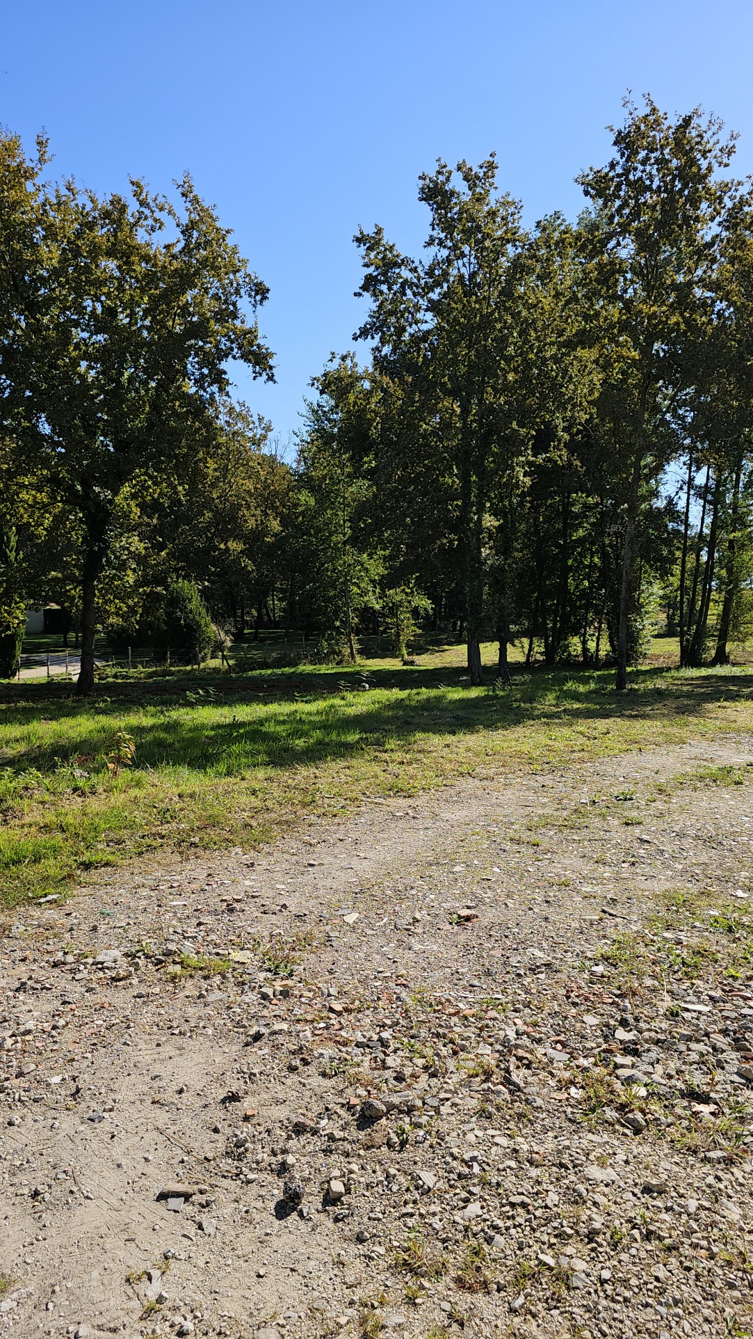 Vente Terrain à Casteljaloux 0 pièce