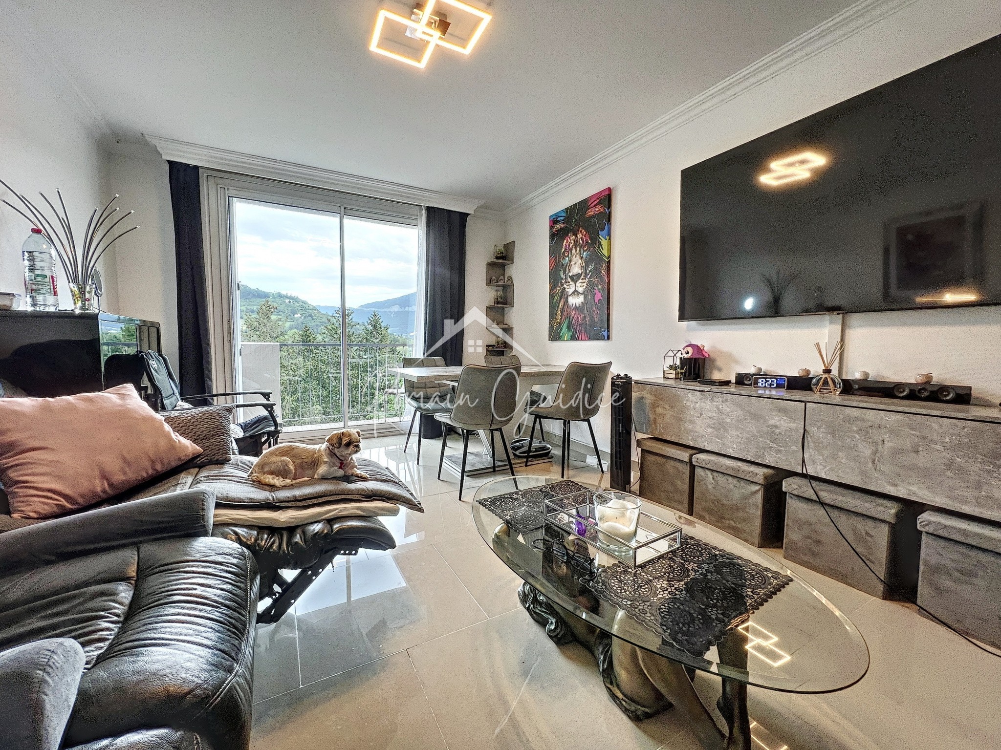 Vente Appartement à Millau 4 pièces