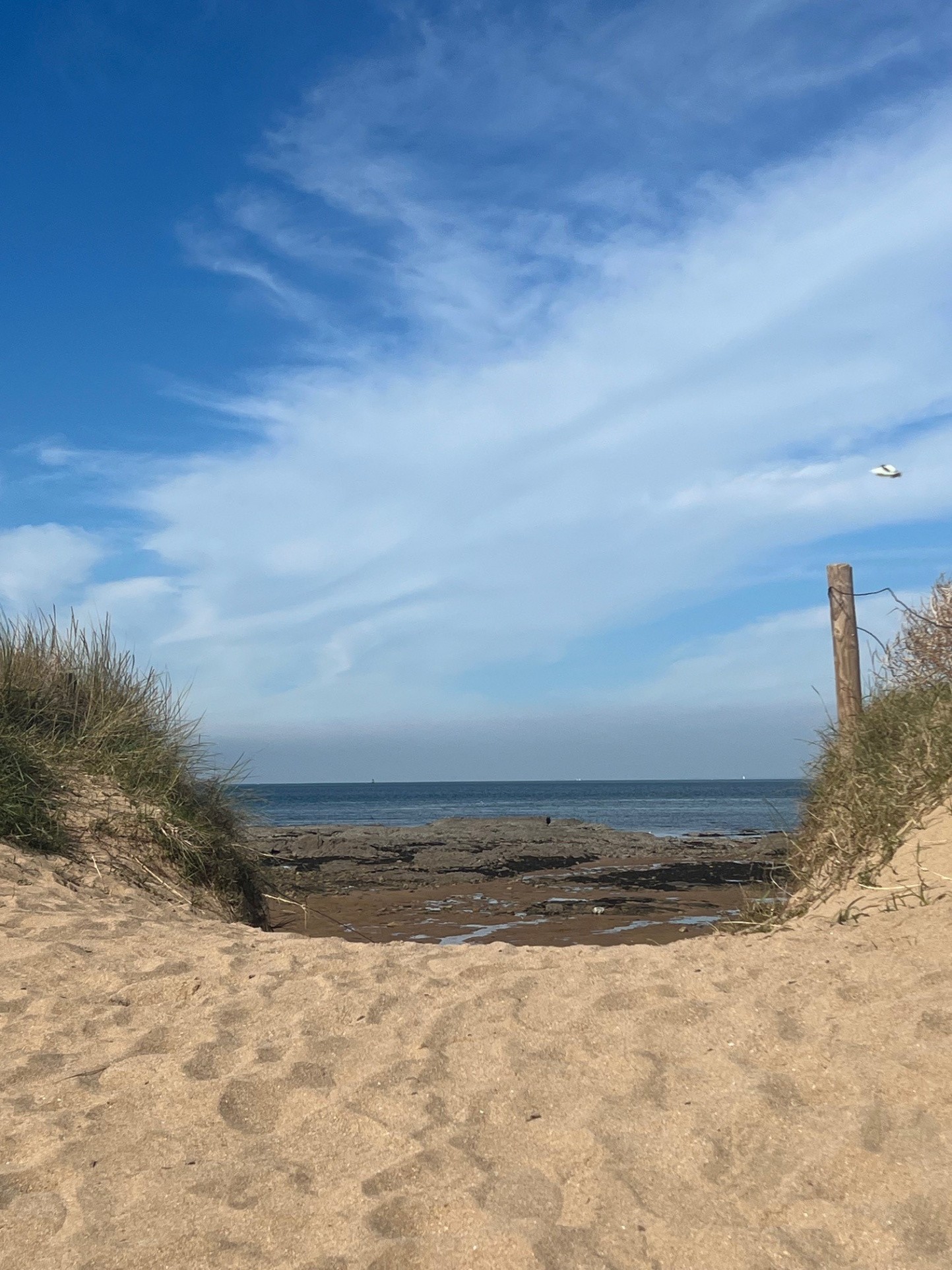 Vente Appartement à Noirmoutier-en-l'Île 3 pièces