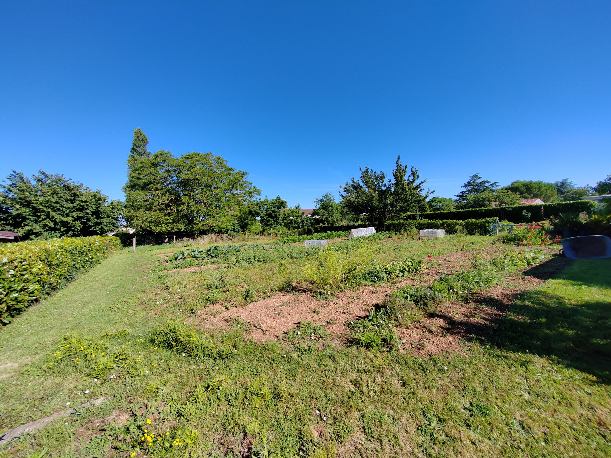 Vente Maison à Fontenay-le-Comte 6 pièces