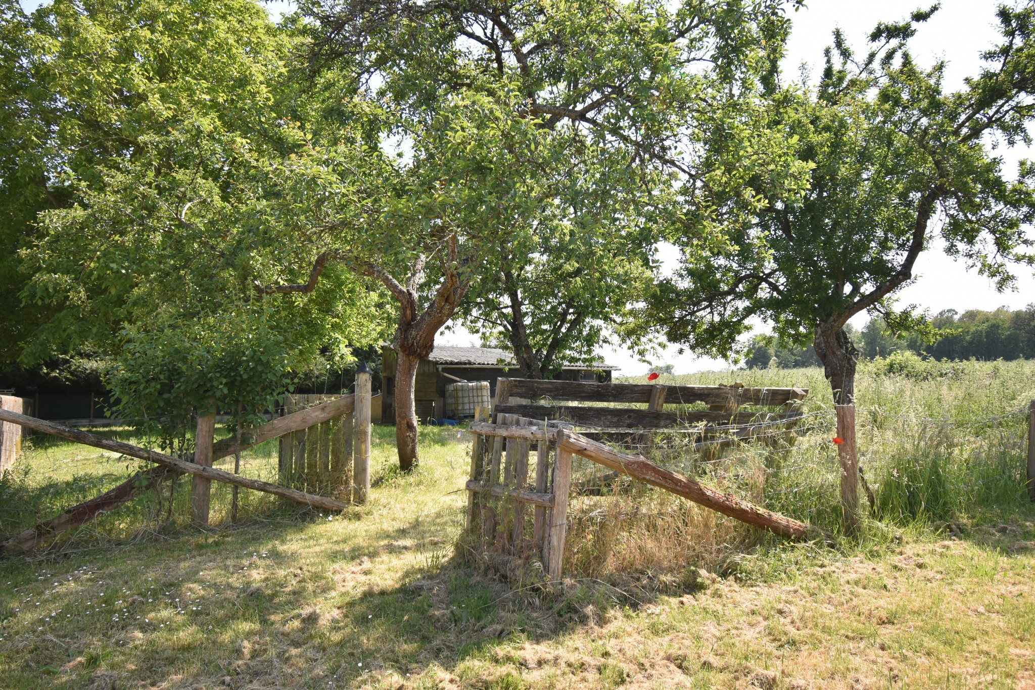 Vente Maison à la Bazoche-Gouet 5 pièces