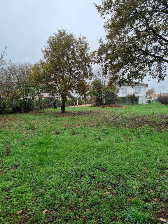 Vente Terrain à Montauban 0 pièce