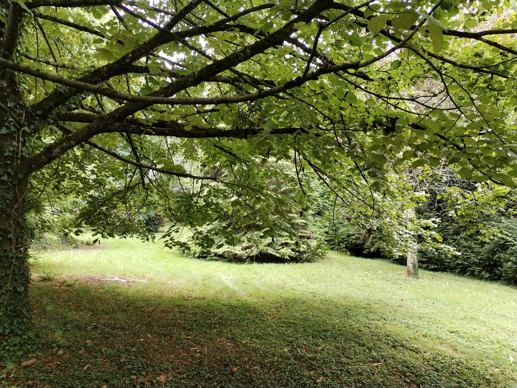 Vente Maison à Saint-Sauveur-des-Landes 6 pièces