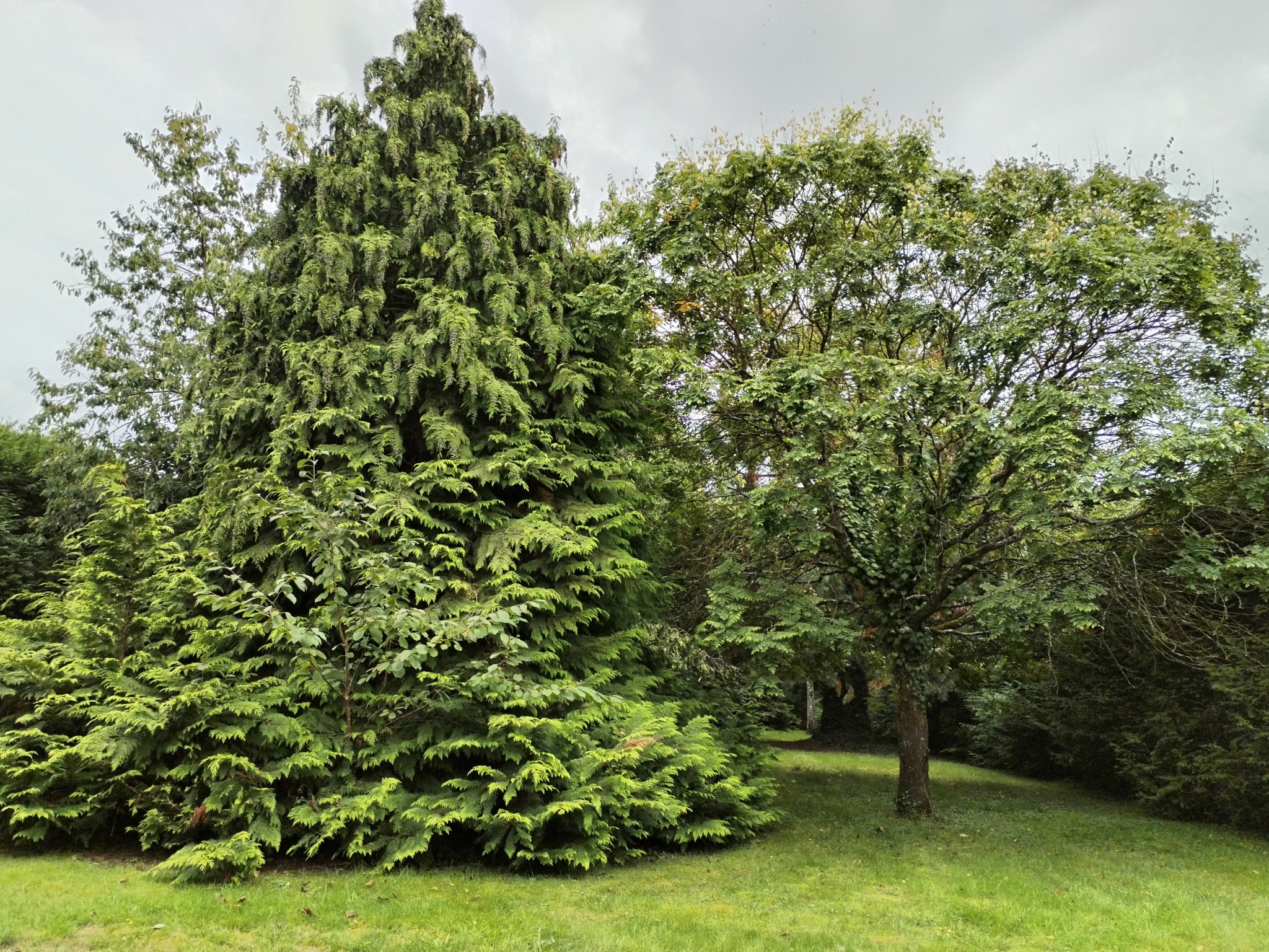 Vente Maison à Saint-Sauveur-des-Landes 6 pièces