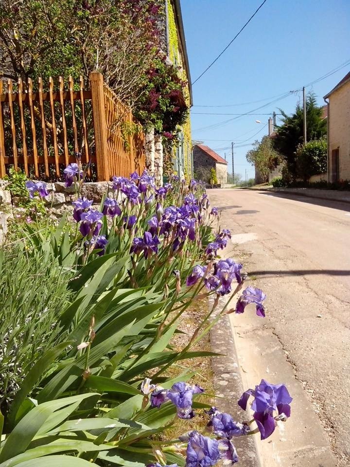 Vente Maison à Mailly-la-Ville 8 pièces