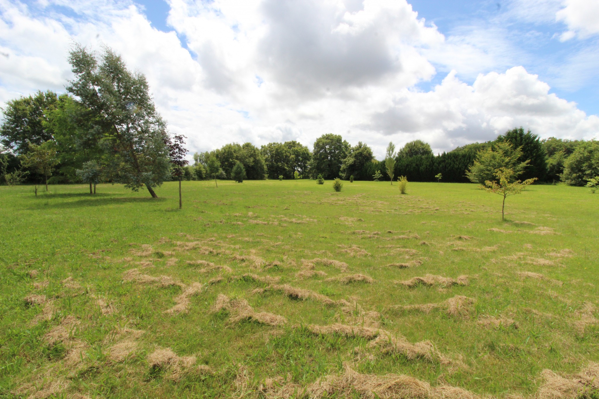 Vente Maison à la Guerche-sur-l'Aubois 5 pièces