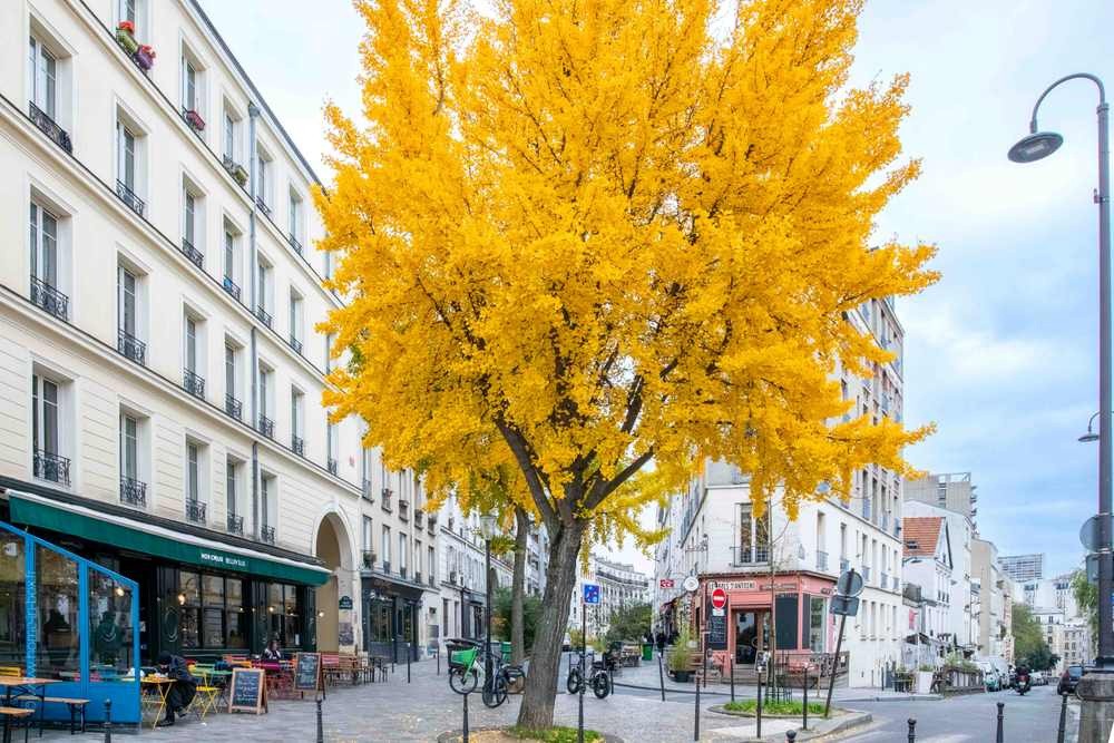 Vente Appartement à Paris Ménilmontant 20e arrondissement 4 pièces