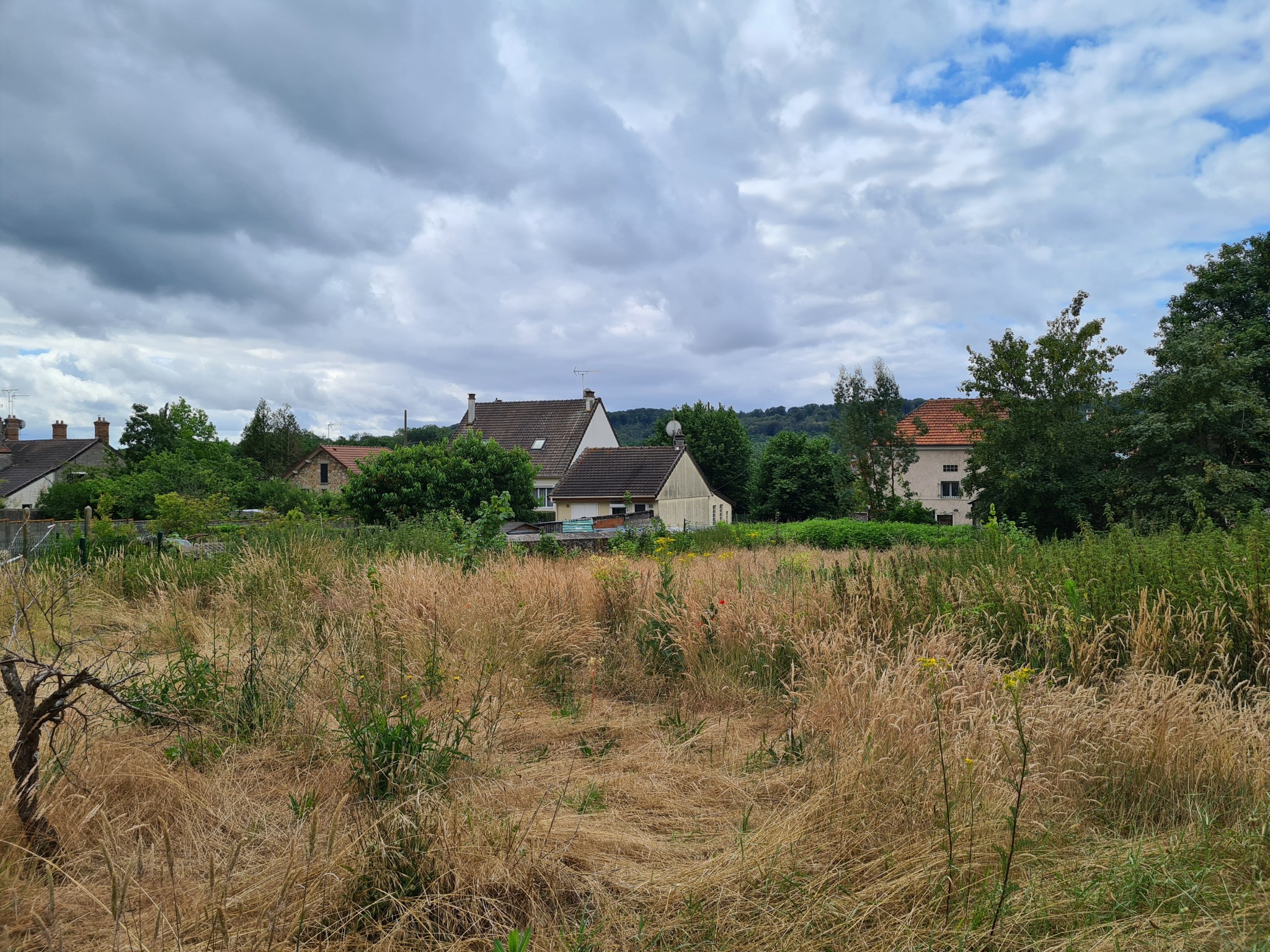 Vente Terrain à Marcoussis 0 pièce