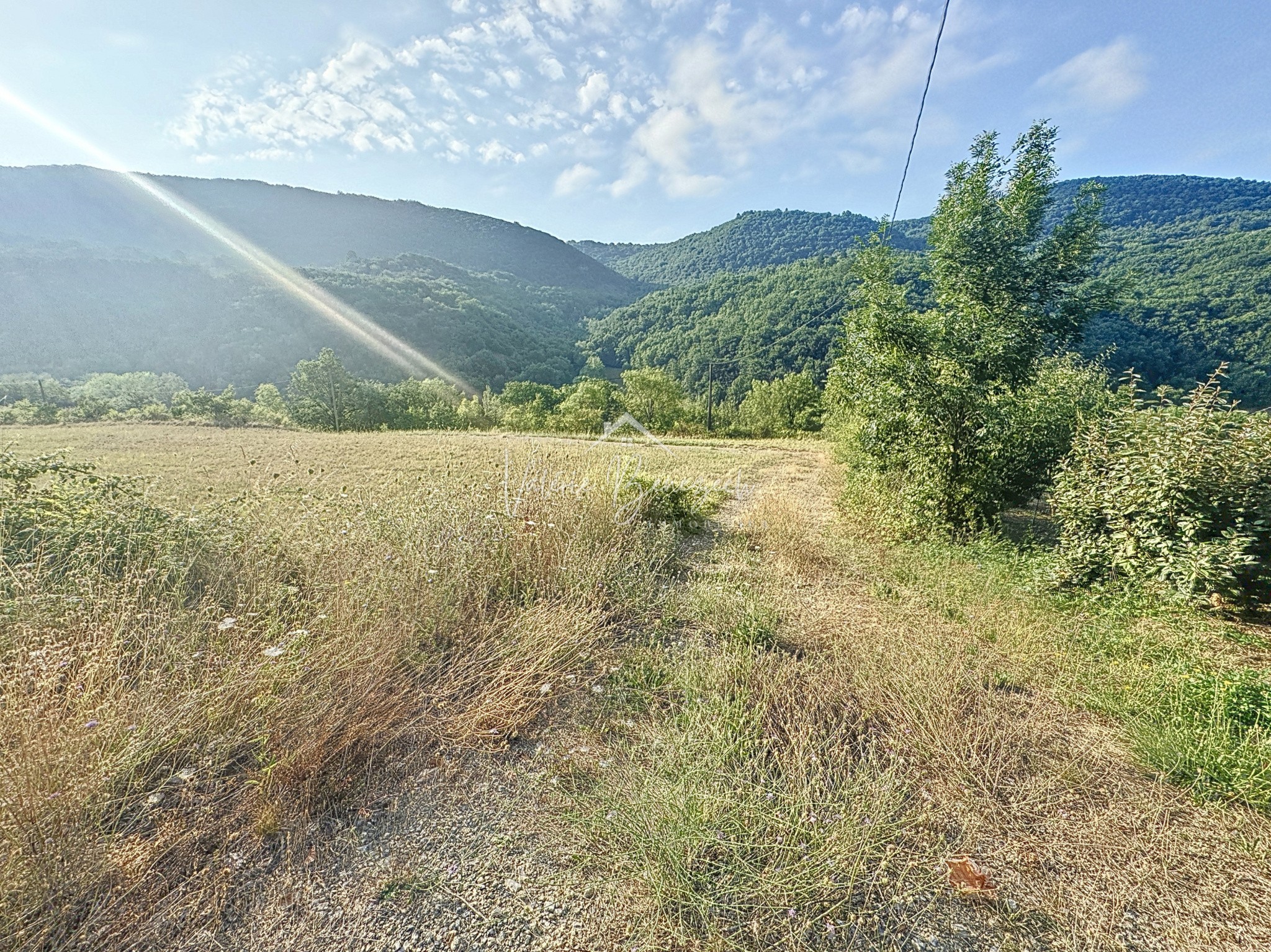 Vente Terrain à Saint-Affrique 0 pièce