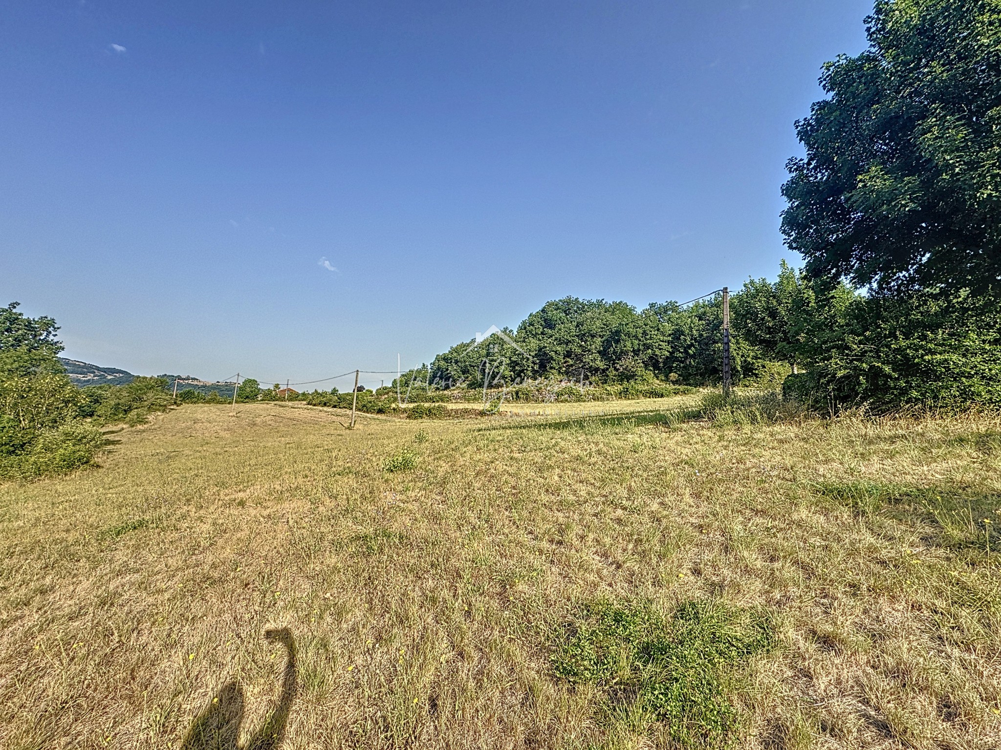 Vente Terrain à Saint-Affrique 0 pièce