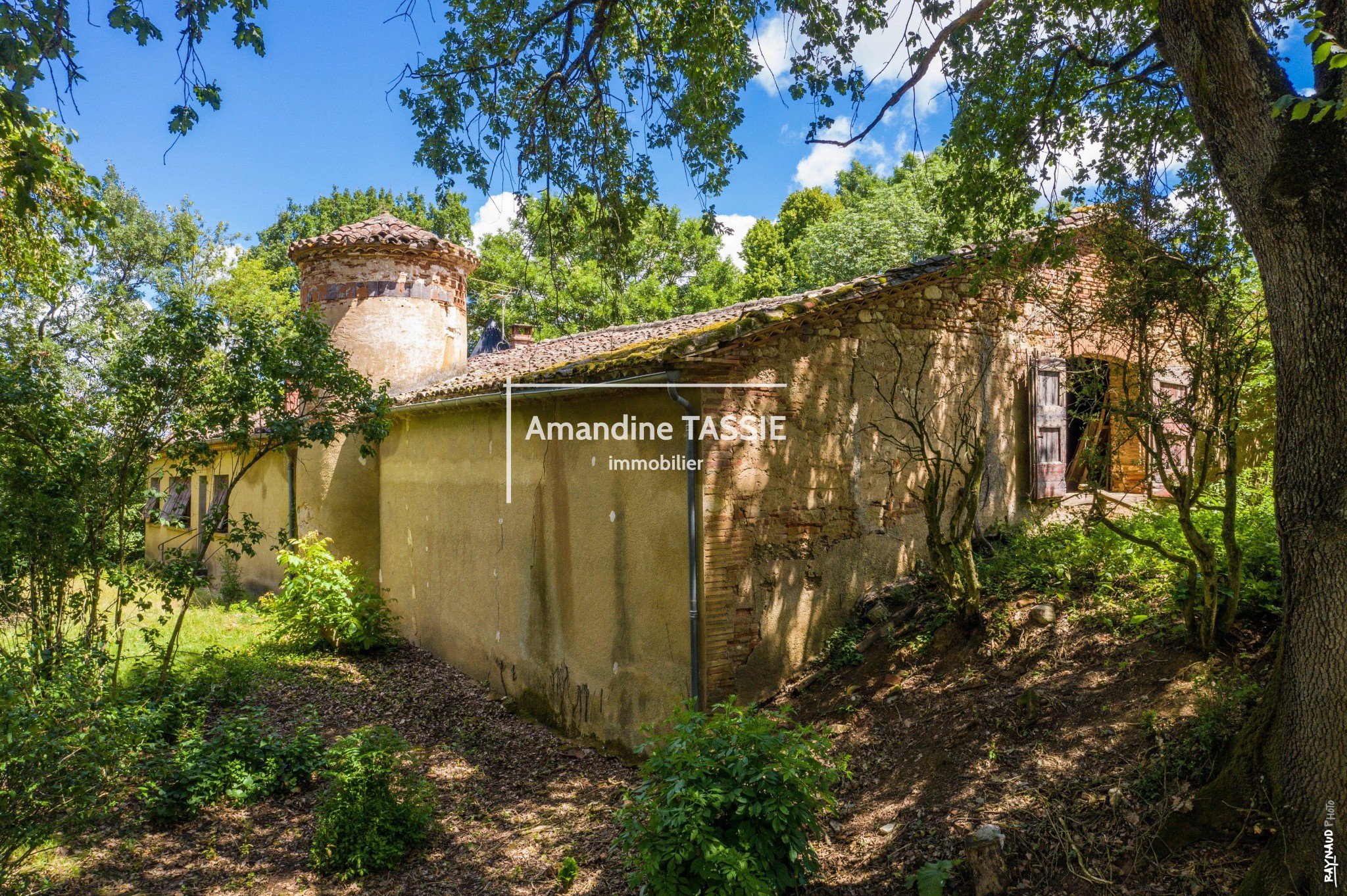 Vente Maison à Gaillac 5 pièces