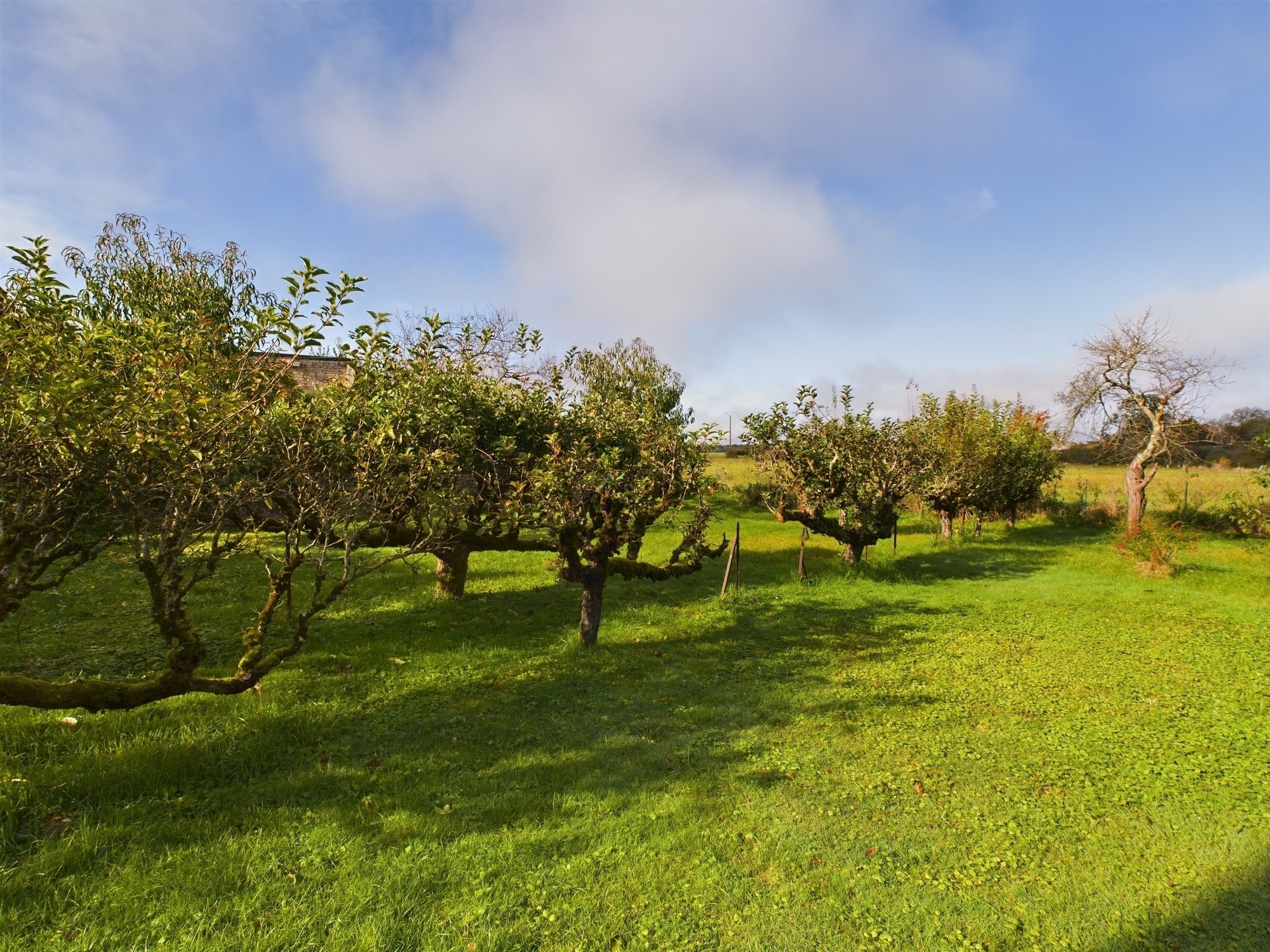 Vente Maison à Narcy 6 pièces