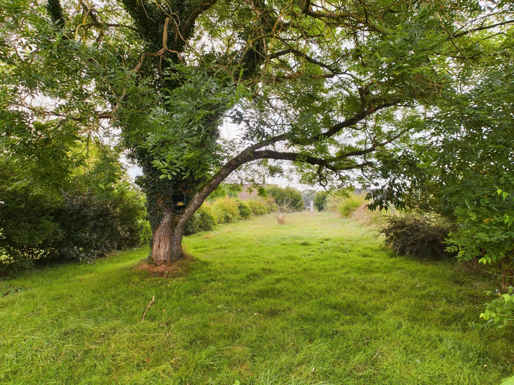 Vente Maison à la Celle-sur-Loire 6 pièces