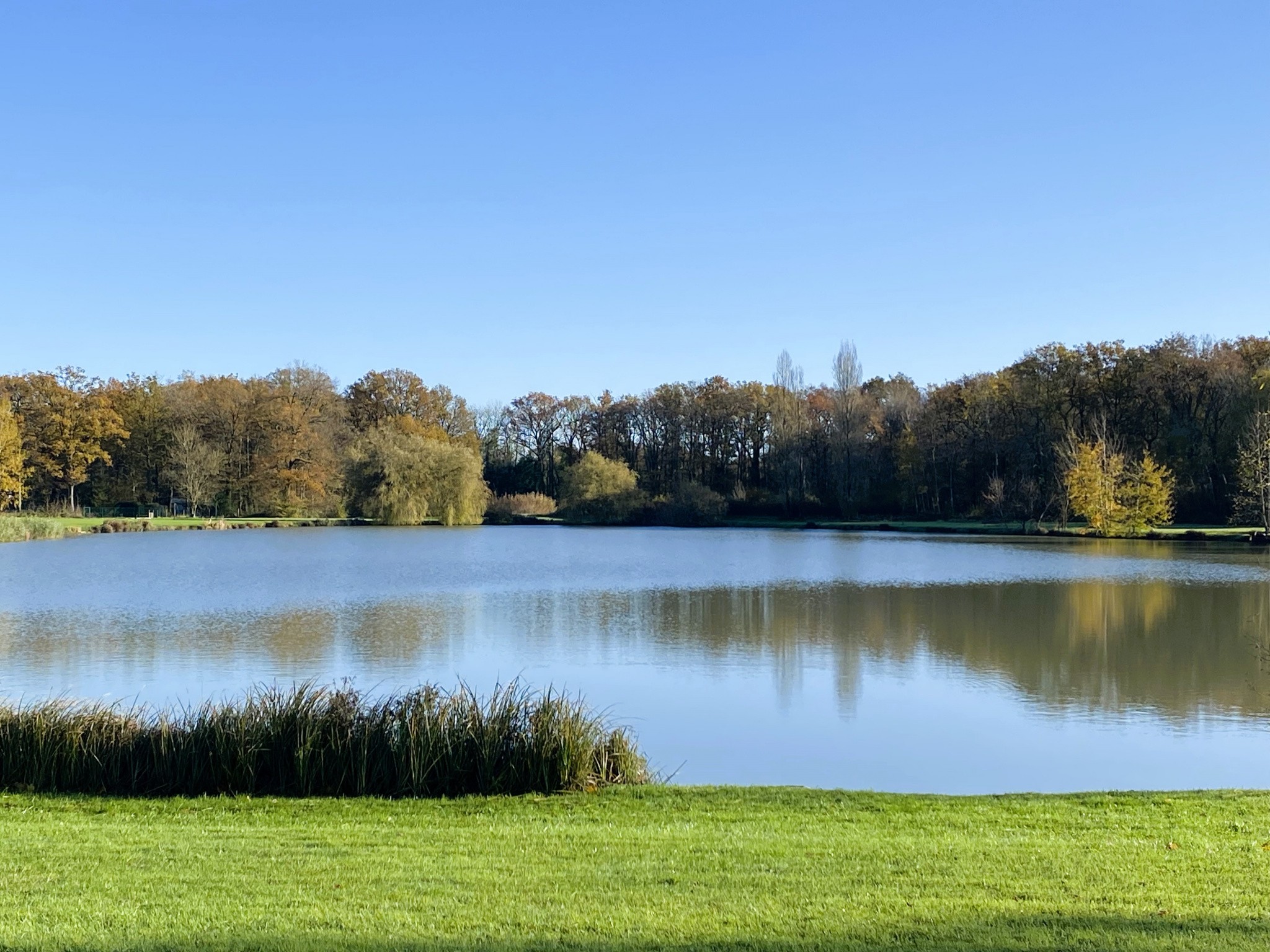 Vente Maison à Bazoches-sur-le-Betz 5 pièces