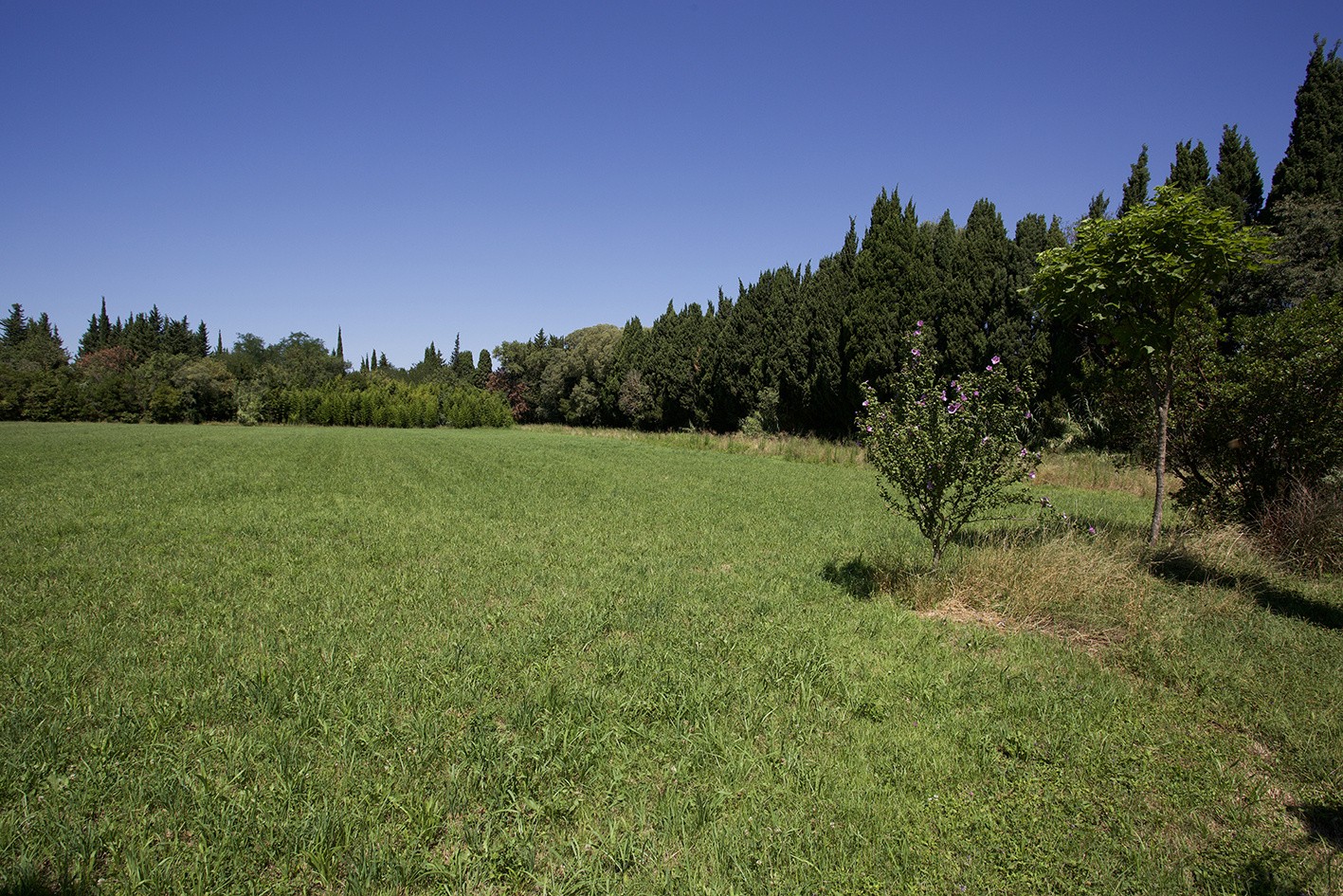 Vente Maison à Saint-Rémy-de-Provence 5 pièces