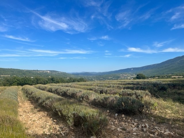 Vente Maison à Saignon 4 pièces