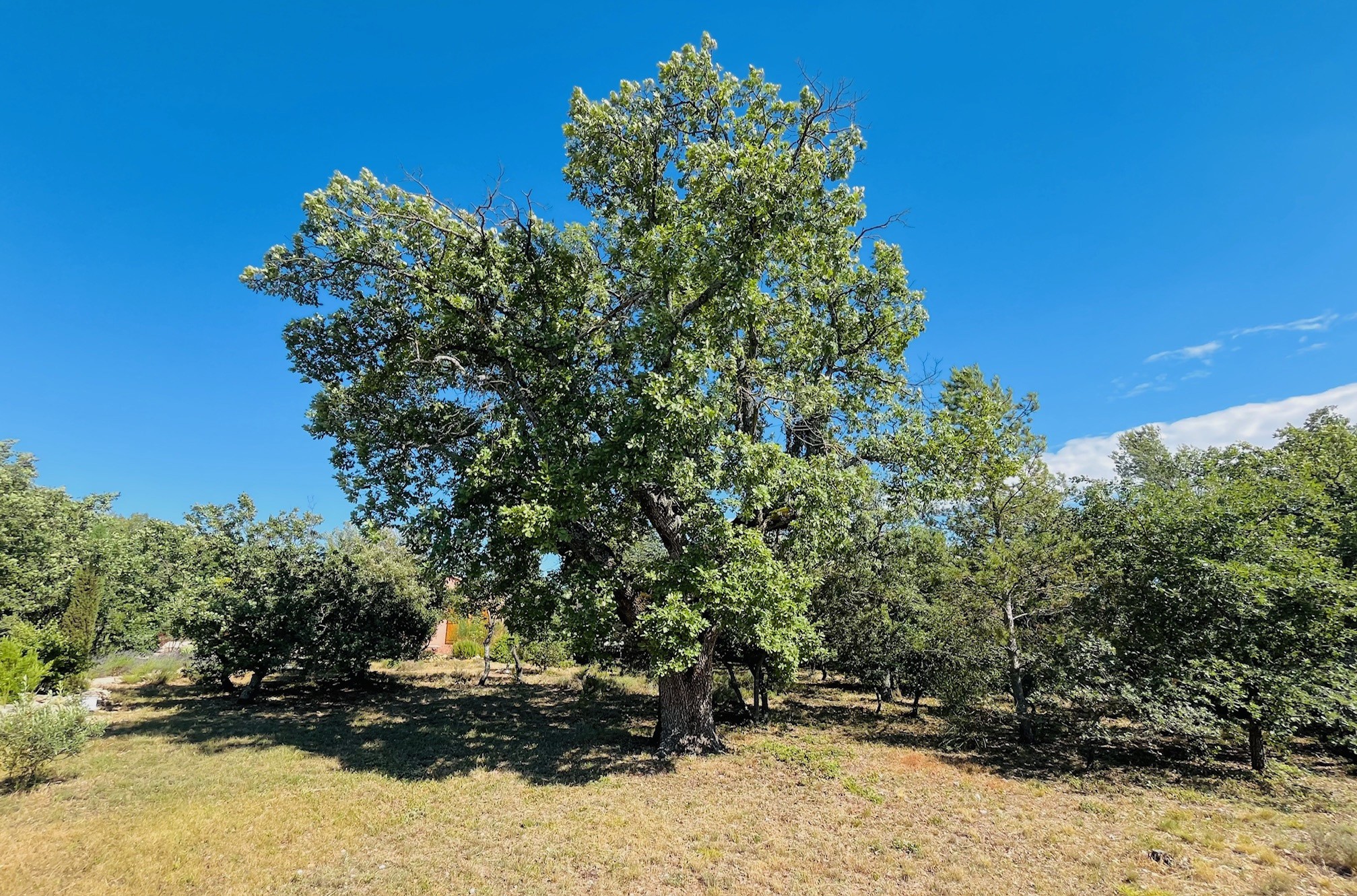 Vente Maison à Saint-Saturnin-lès-Apt 5 pièces