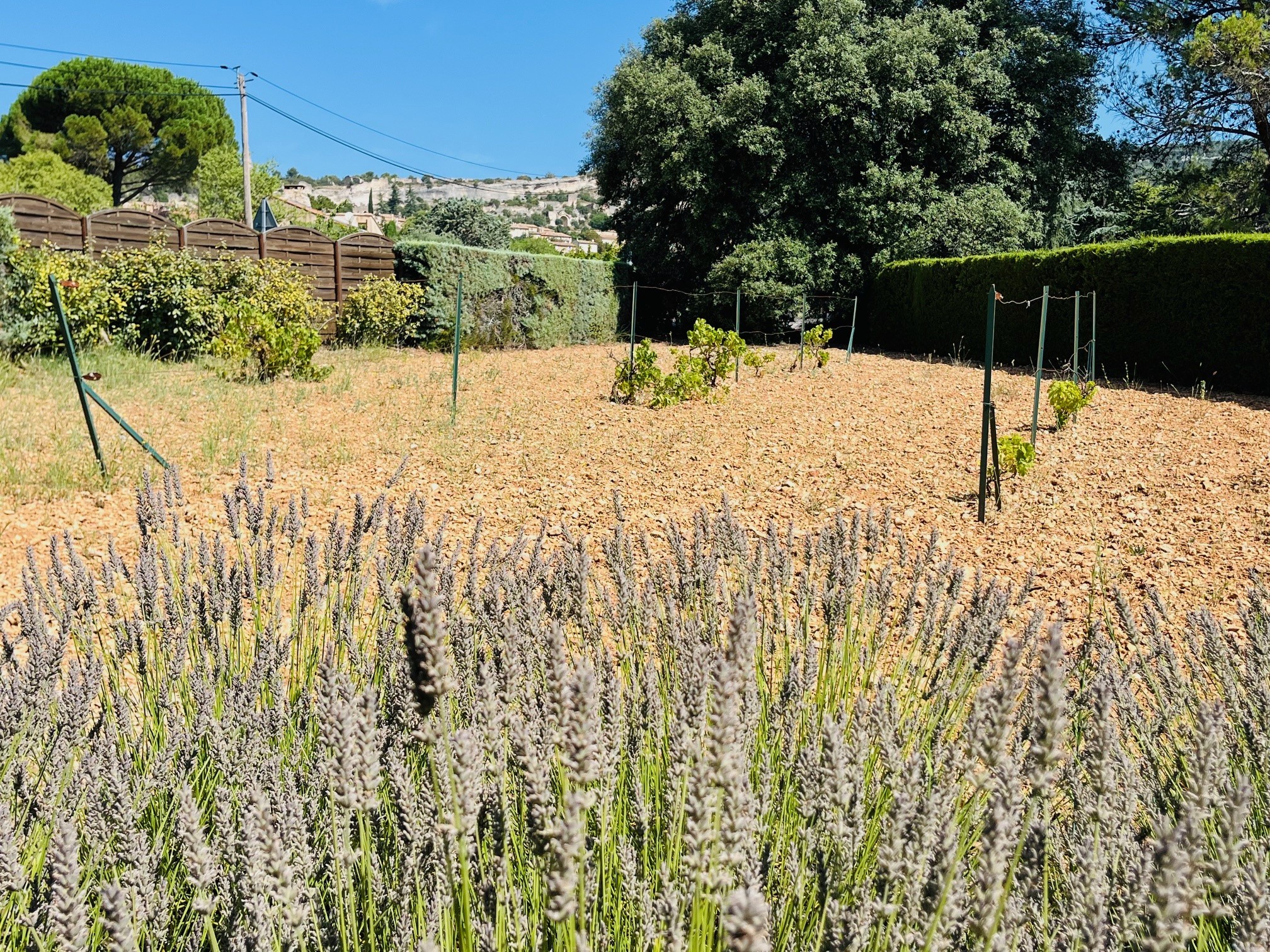 Vente Maison à Saint-Saturnin-lès-Apt 3 pièces