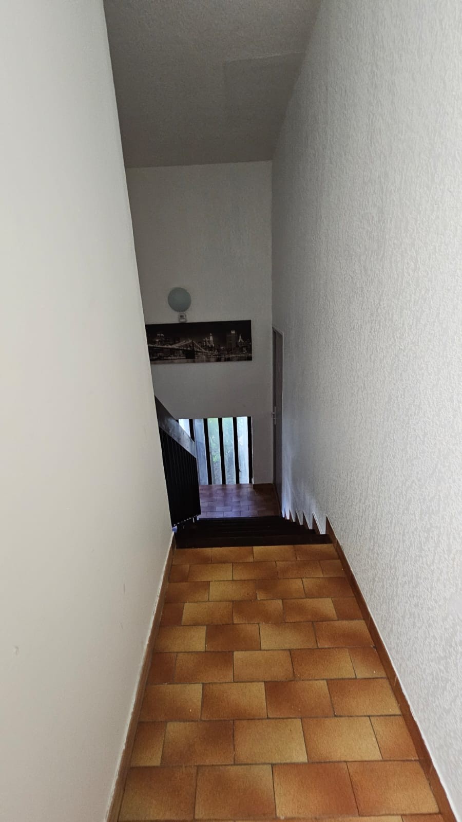 Location Appartement à Montpellier 1 pièce