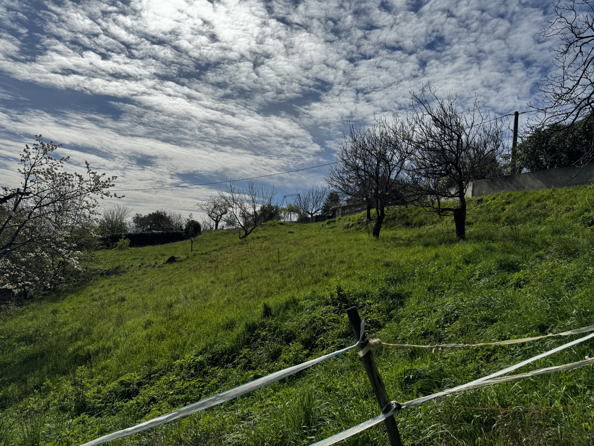 Vente Terrain à Vals-les-Bains 0 pièce