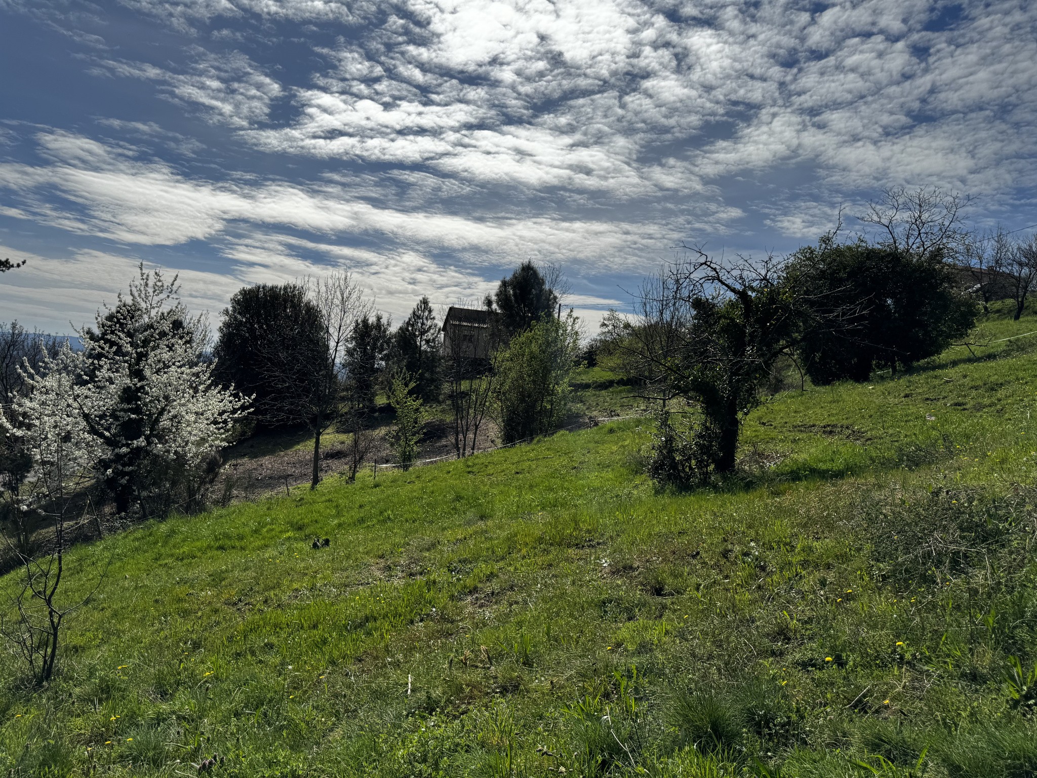 Vente Terrain à Vals-les-Bains 0 pièce