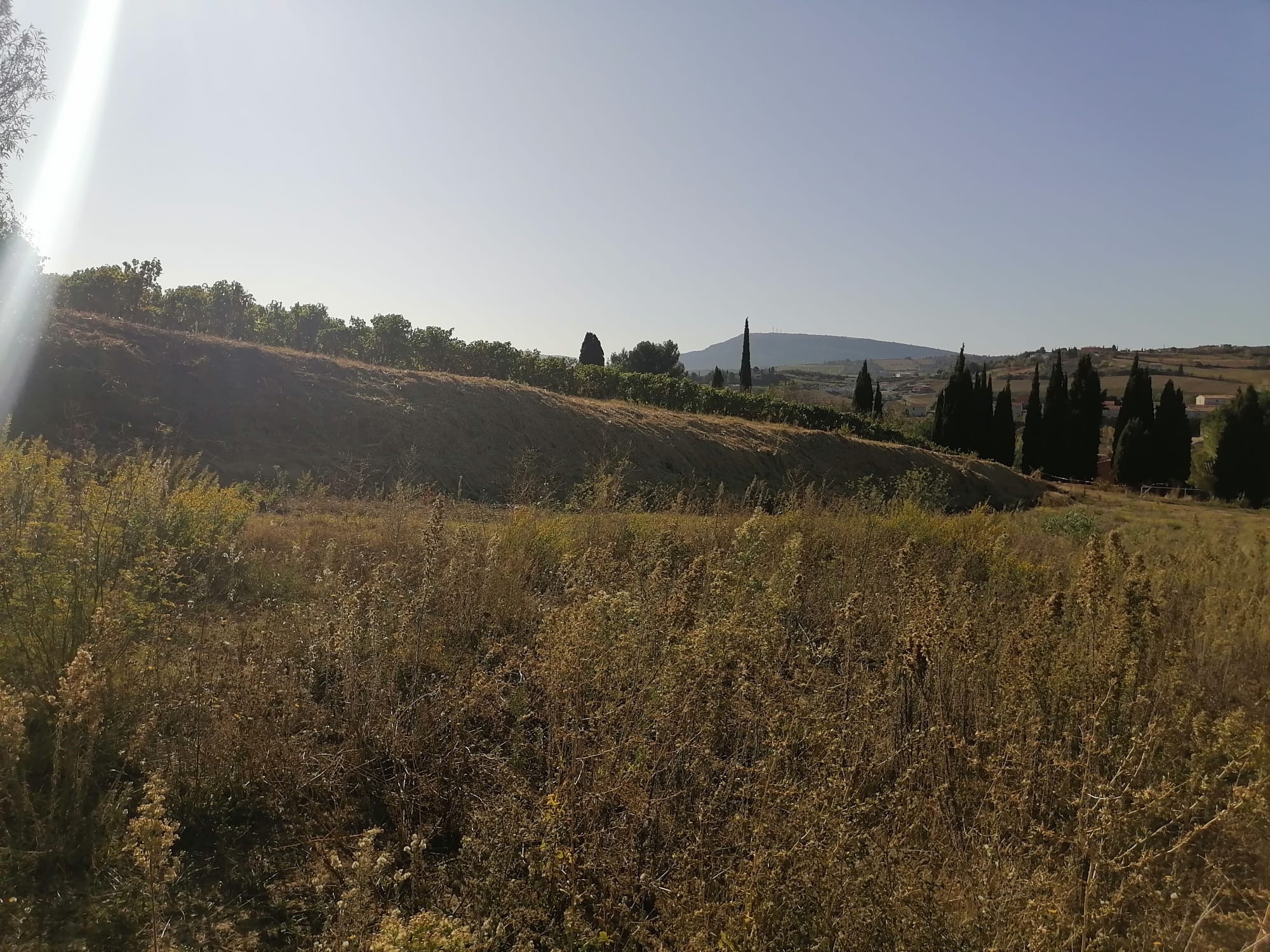 Vente Terrain à Limoux 0 pièce