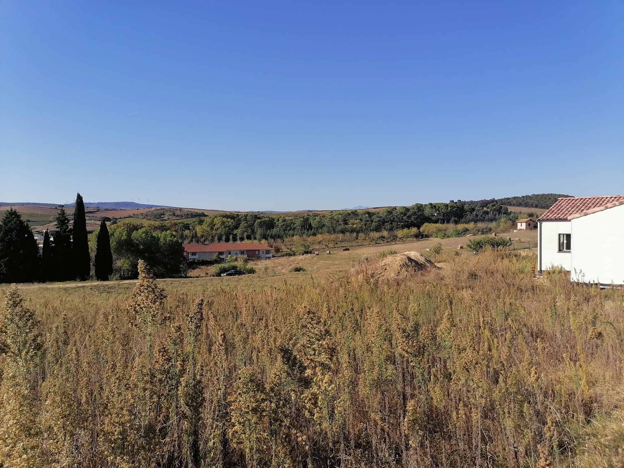 Vente Terrain à Limoux 0 pièce