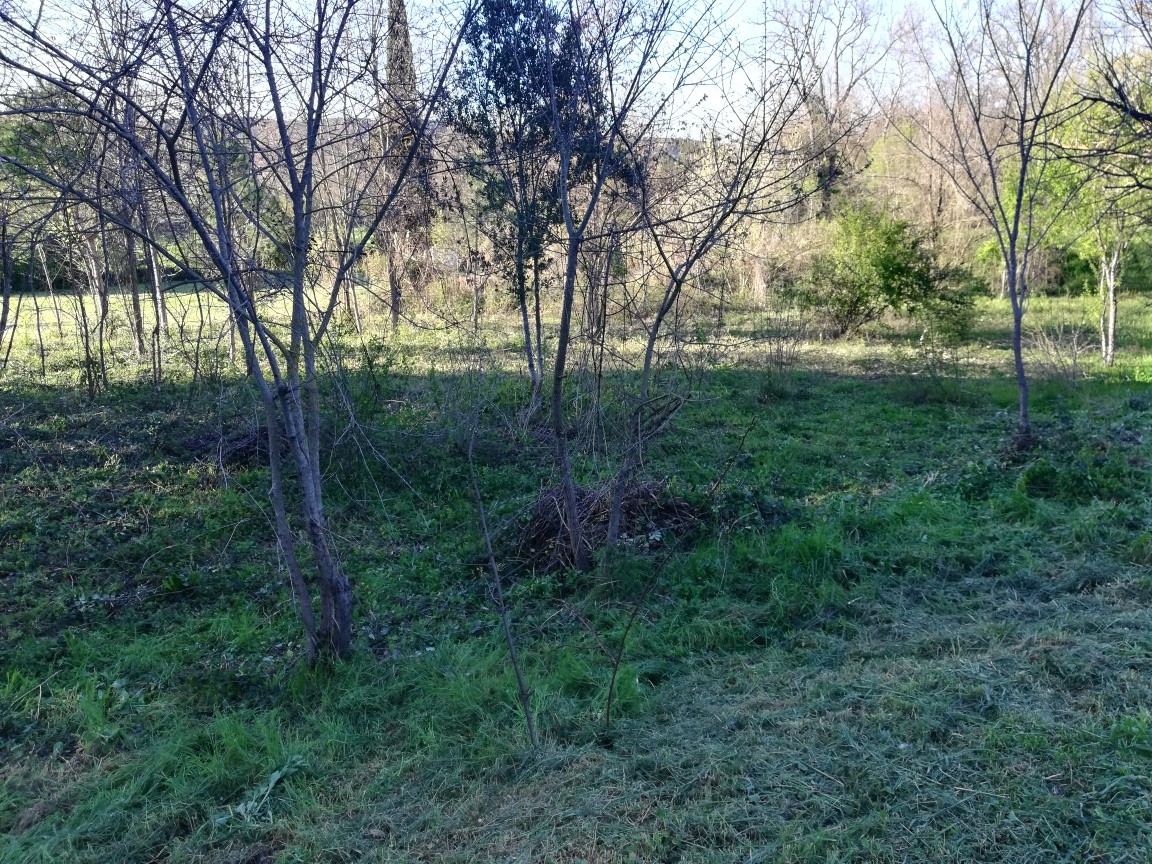 Vente Terrain à Limoux 0 pièce