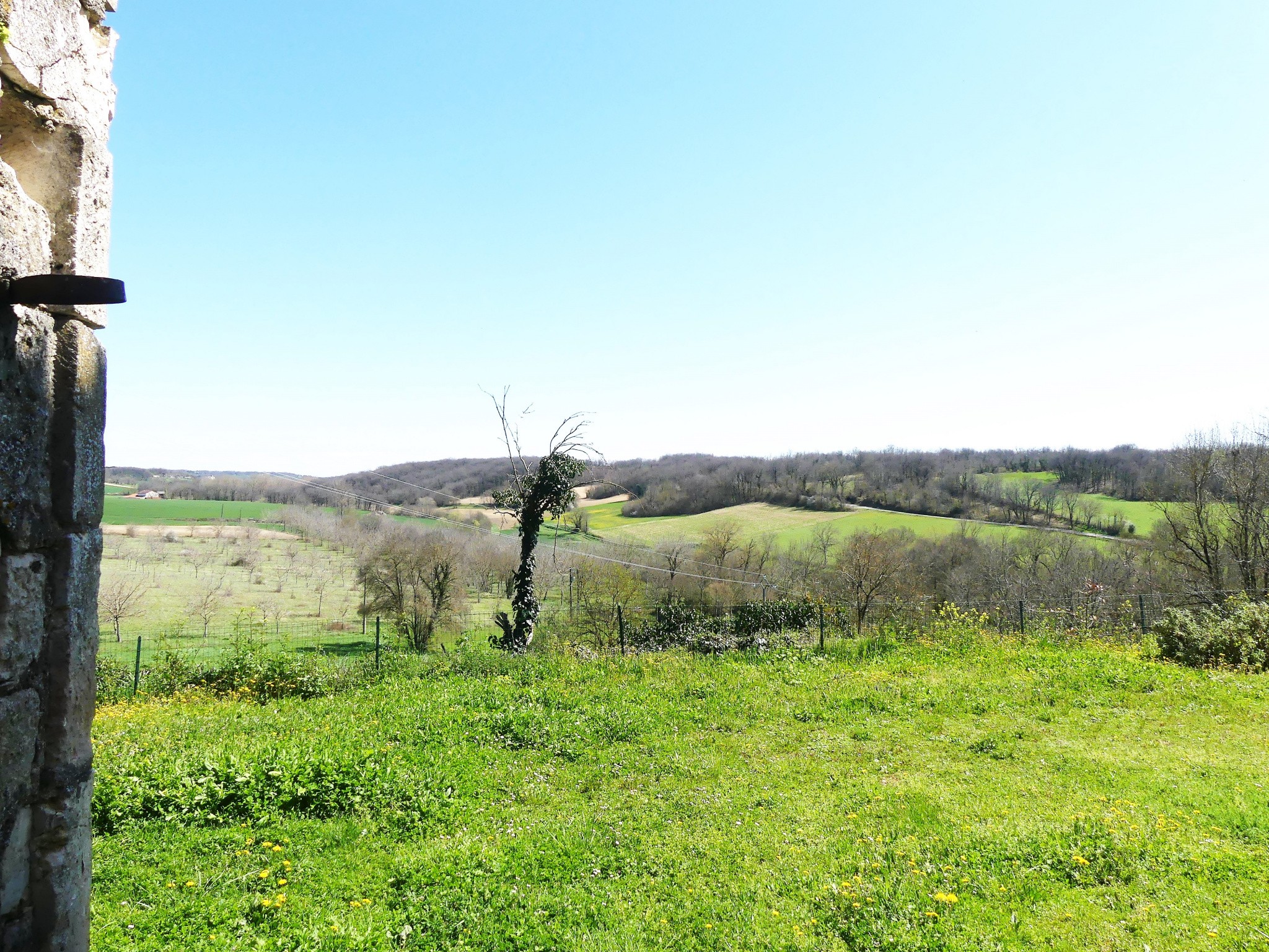 Vente Maison à Cordes-sur-Ciel 7 pièces