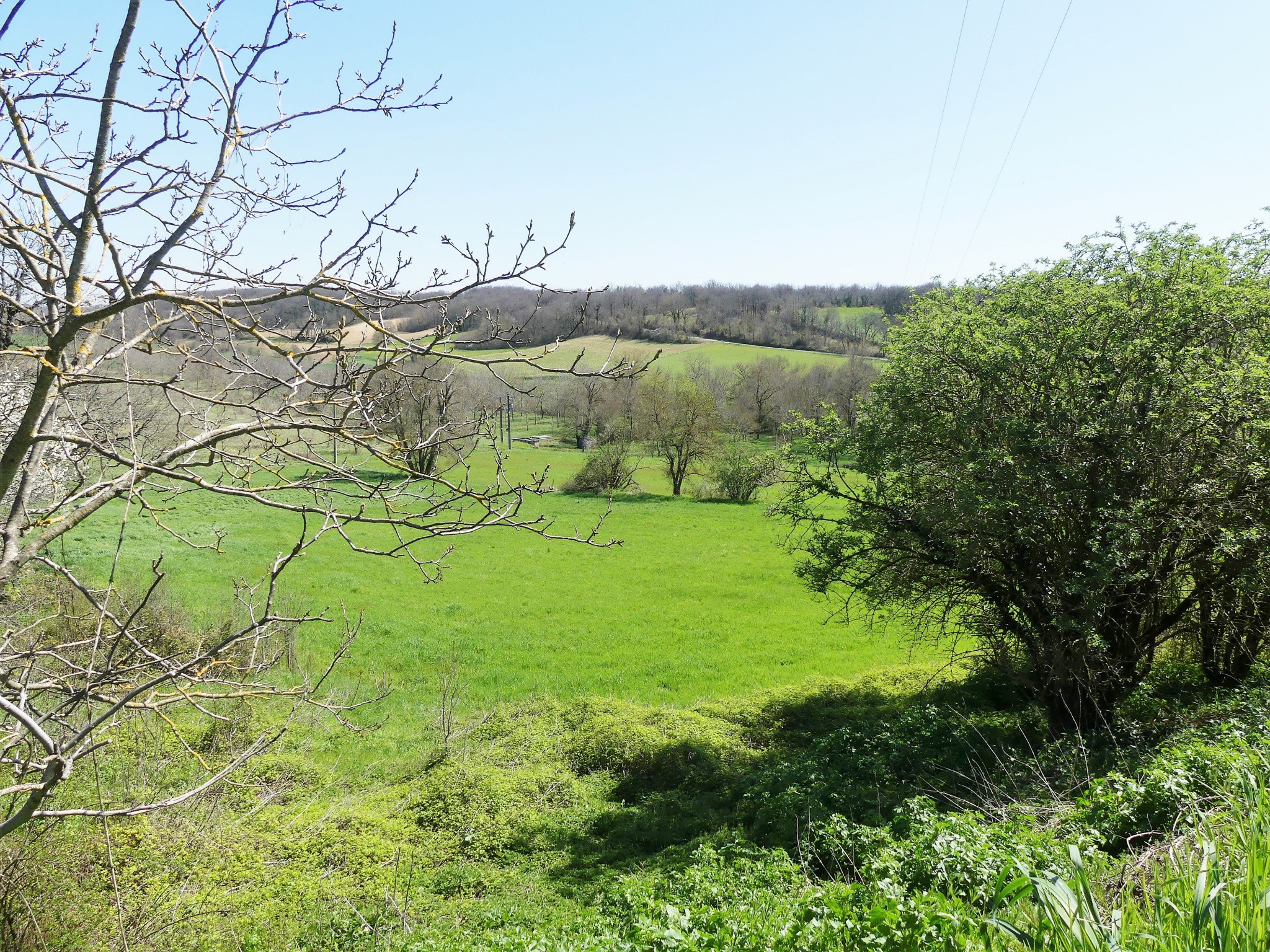 Vente Maison à Cordes-sur-Ciel 7 pièces