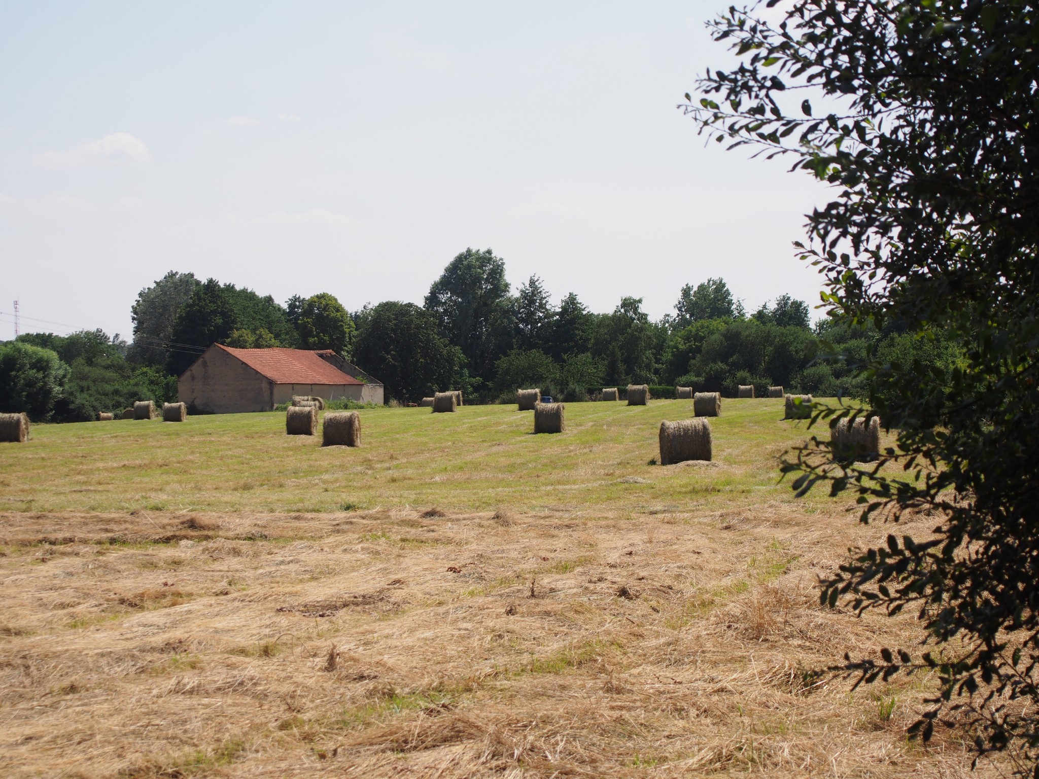 Vente Maison à la Loupe 2 pièces